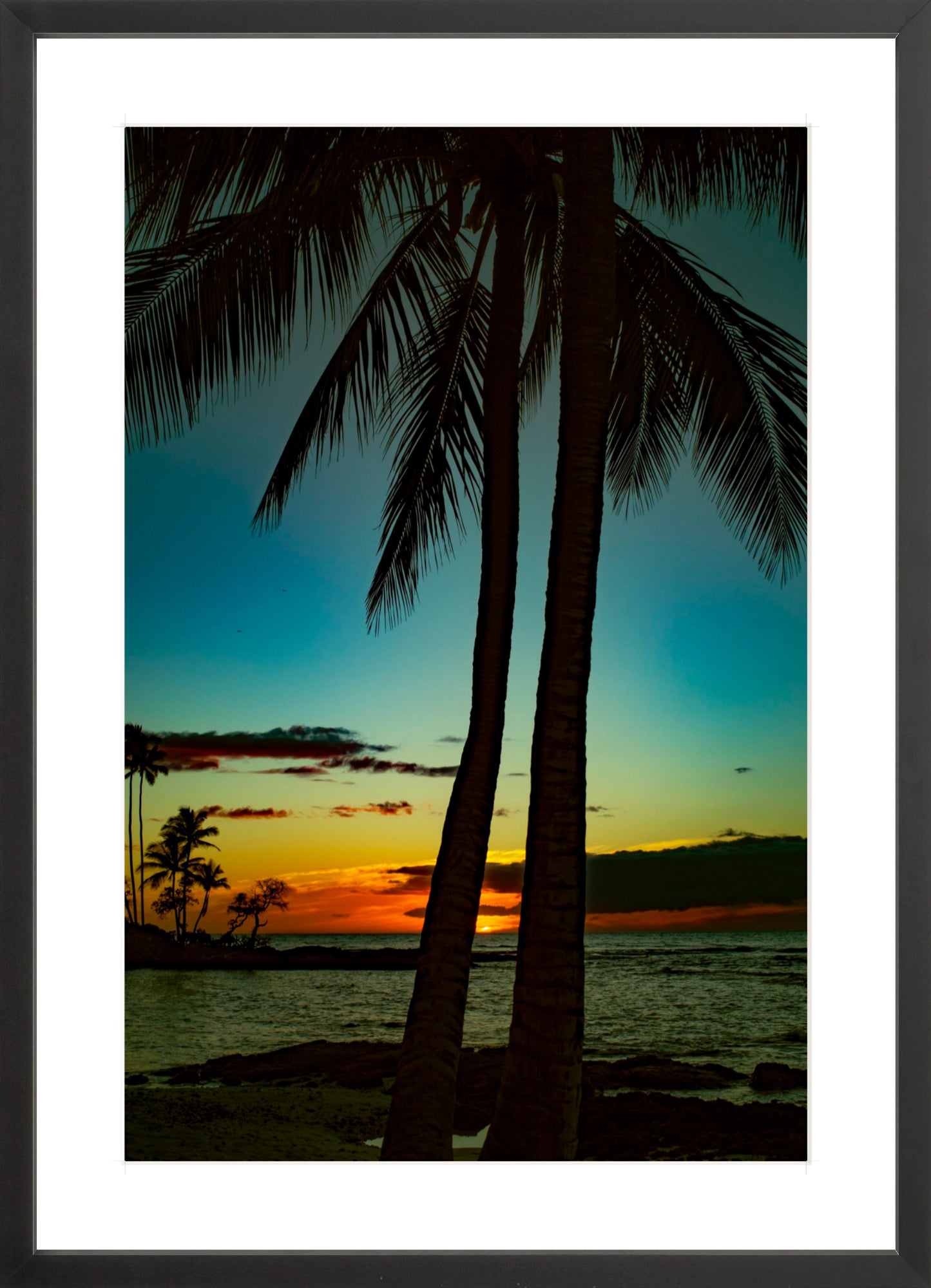 #Framed Print_16x24"_Black