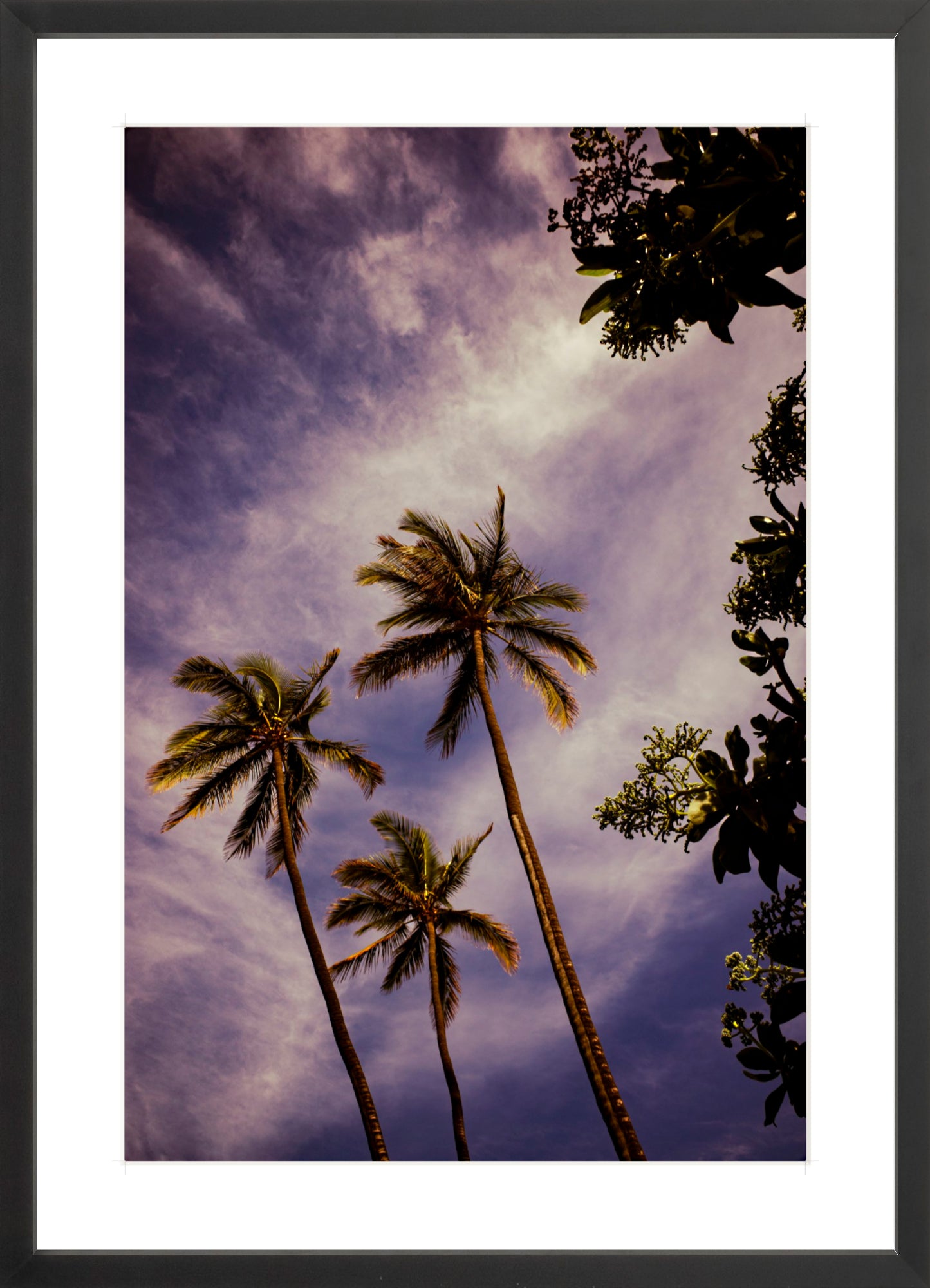 #Framed Print_16x24"_Black