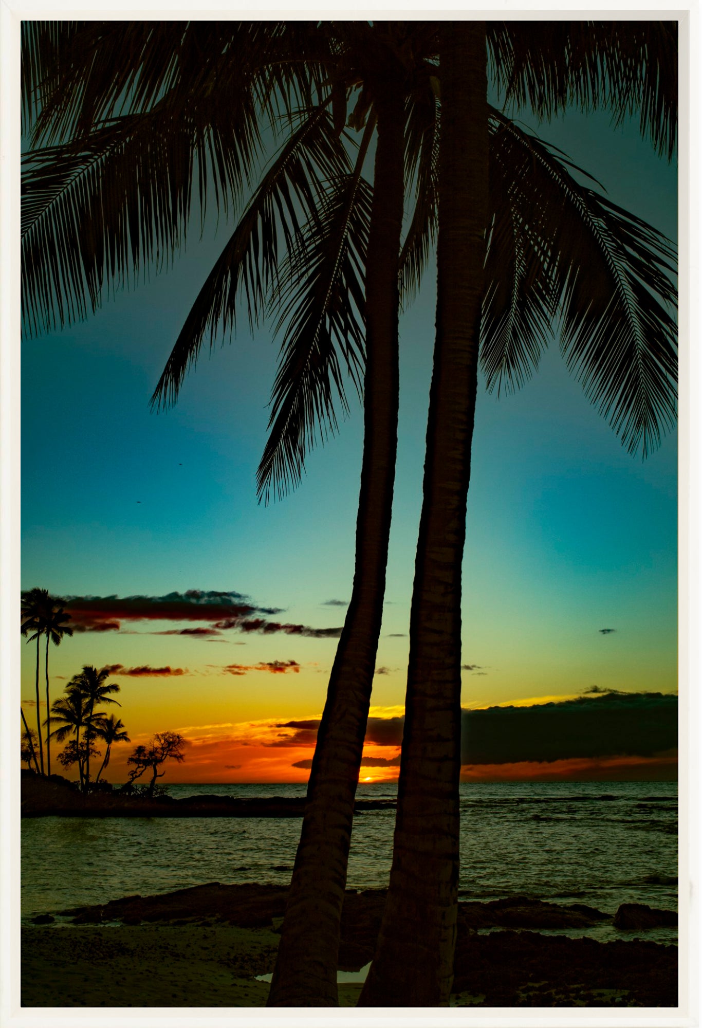 #Framed Canvas_16x24"_White