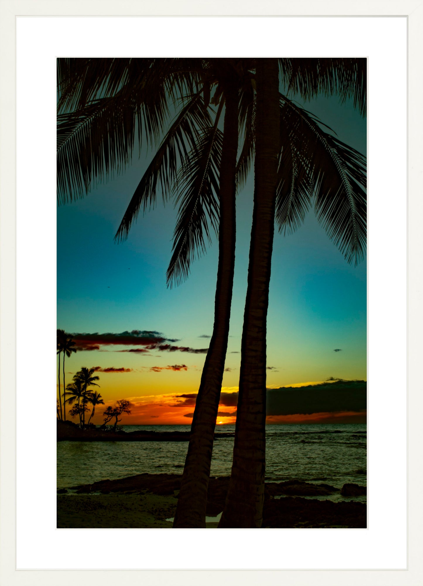 #Framed Print_16x24"_White