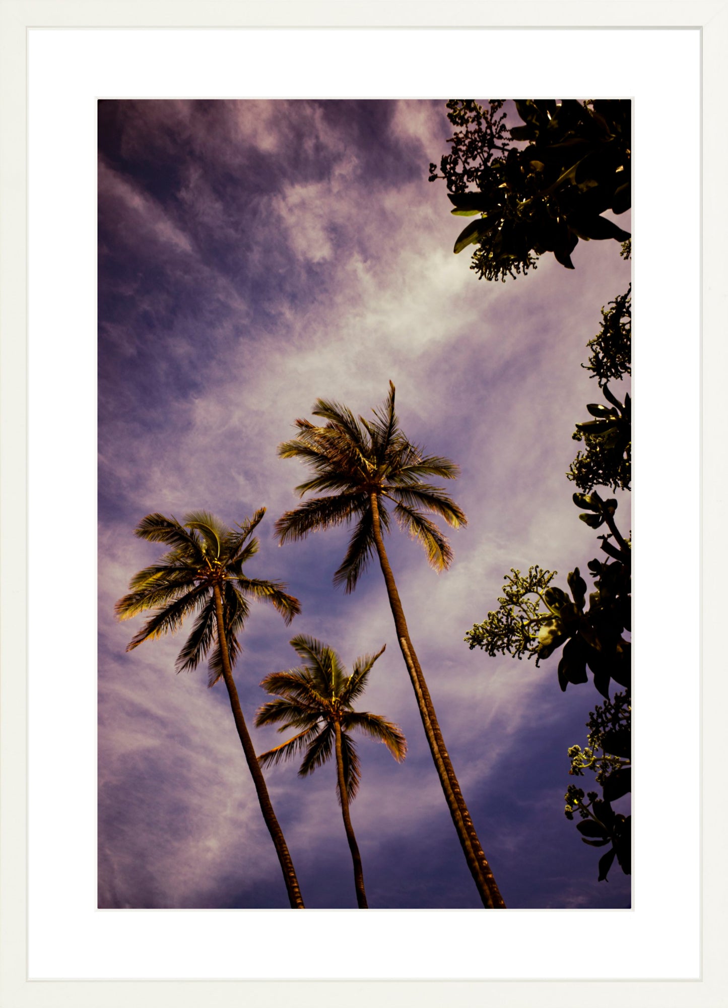 #Framed Print_16x24"_White