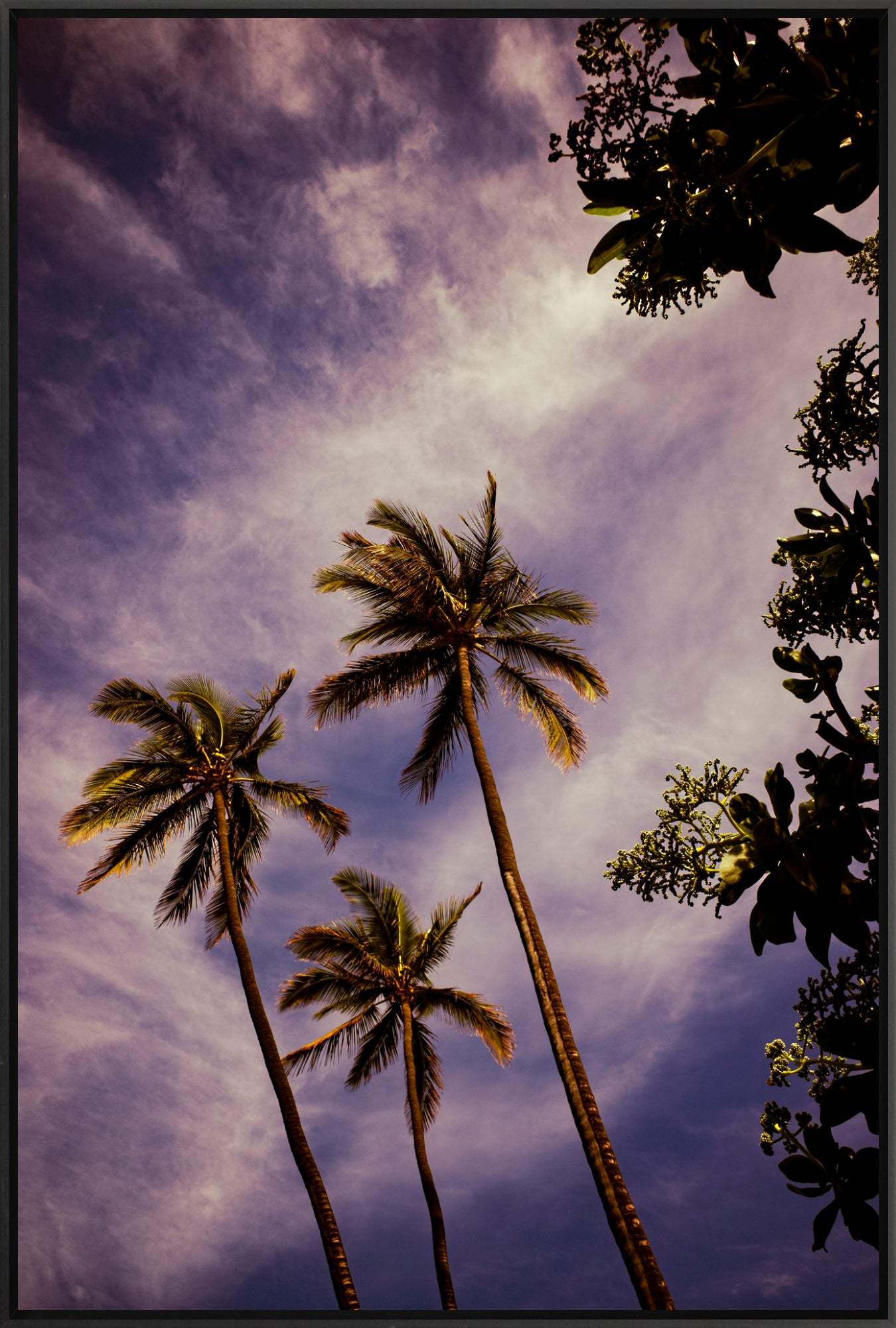 #Framed Canvas_24x36"_Black