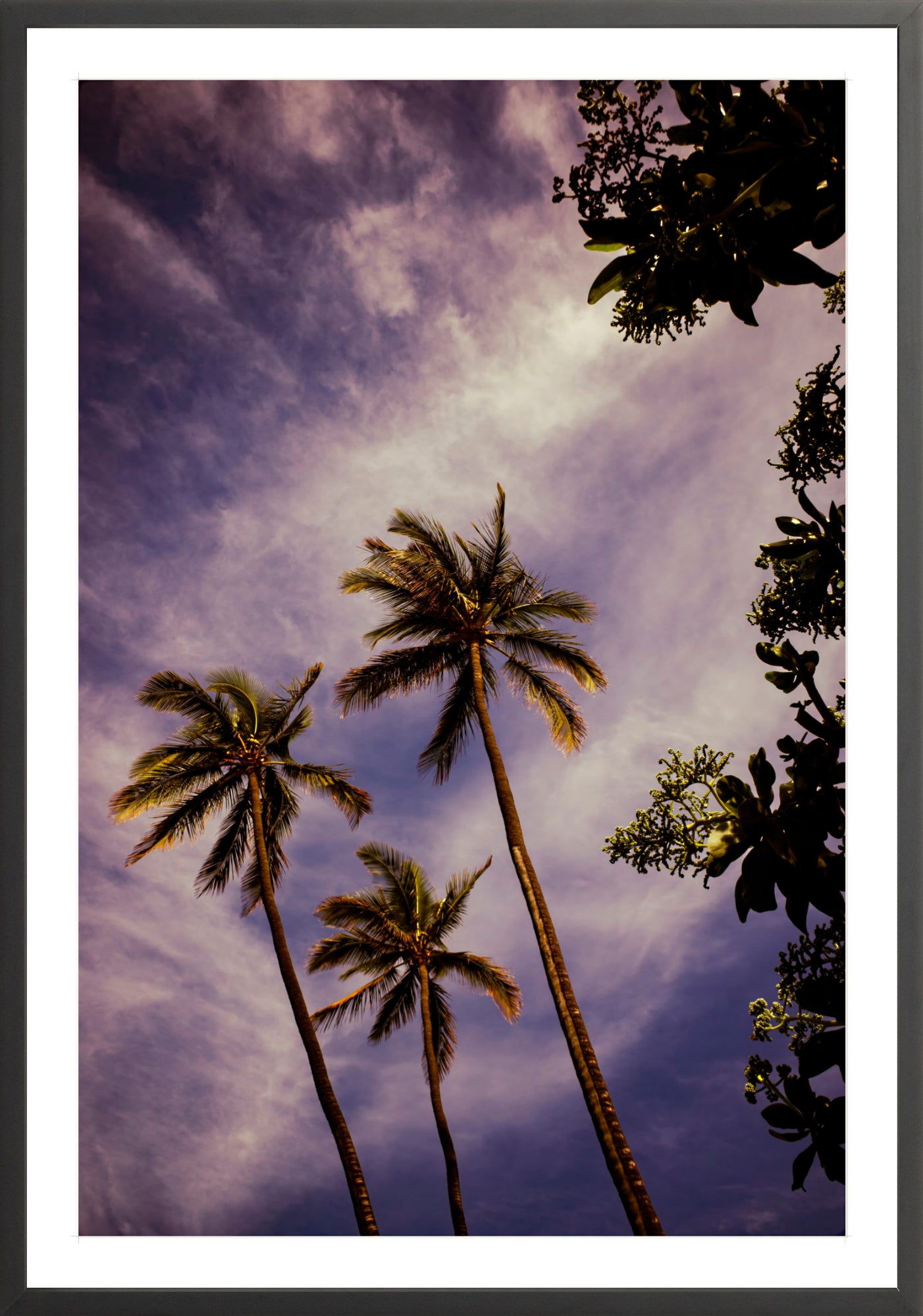 #Framed Print_30x45"_Black