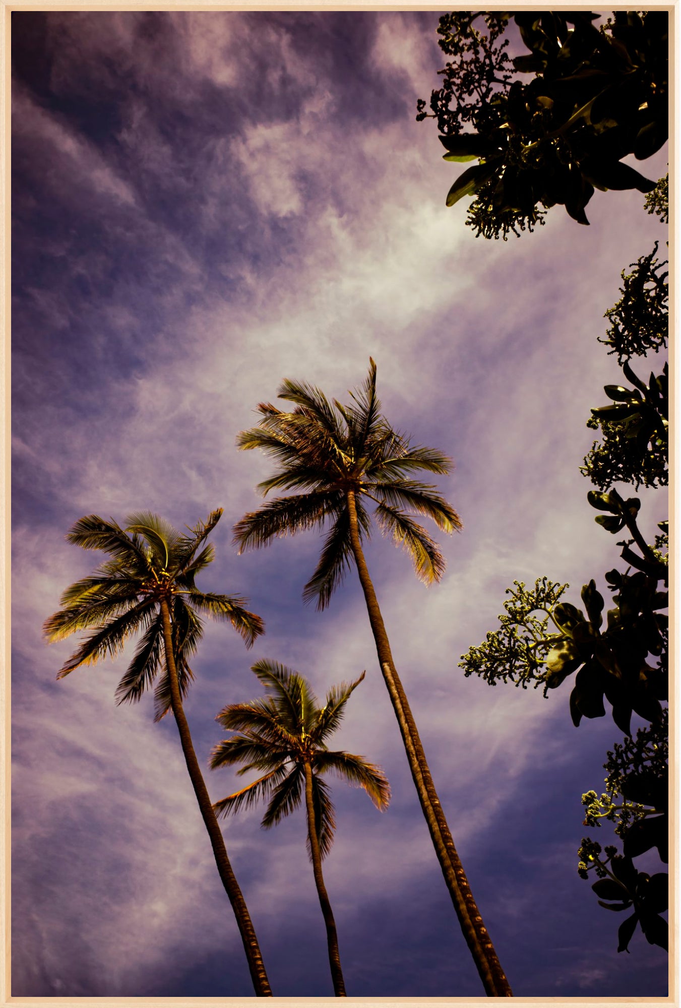 #Framed Canvas_40x60"_Natural