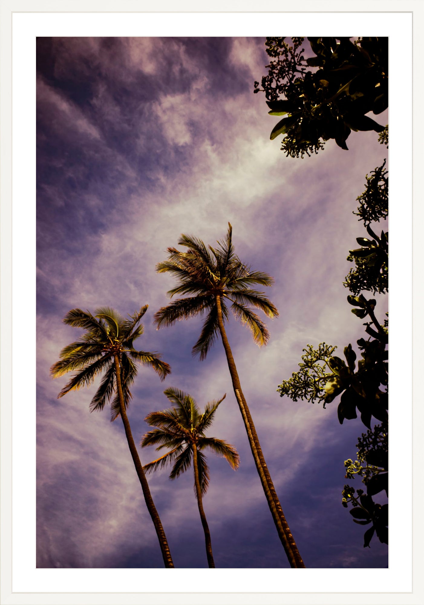 #Framed Print_30x45"_White