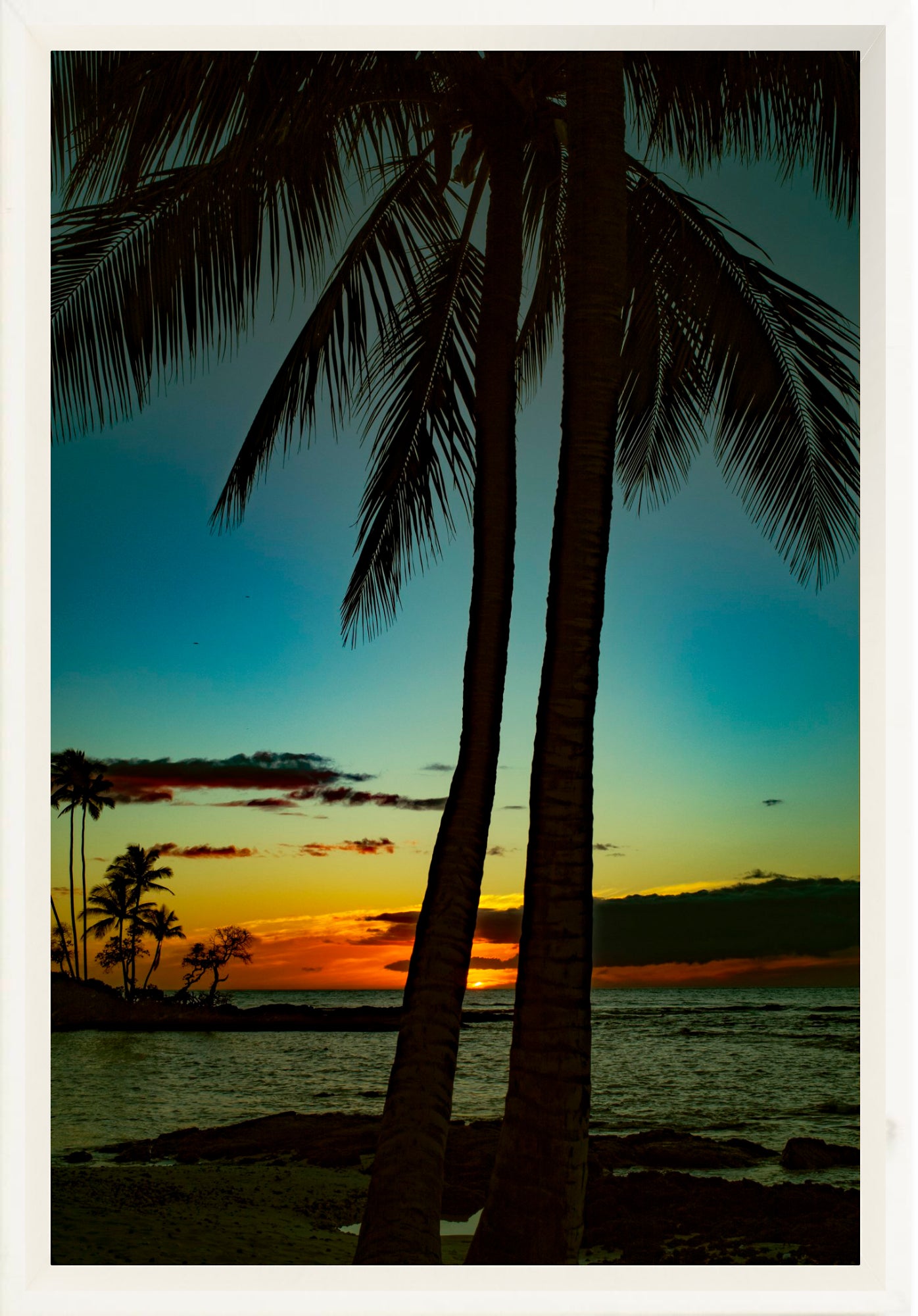 #Framed Canvas_8x12"_White