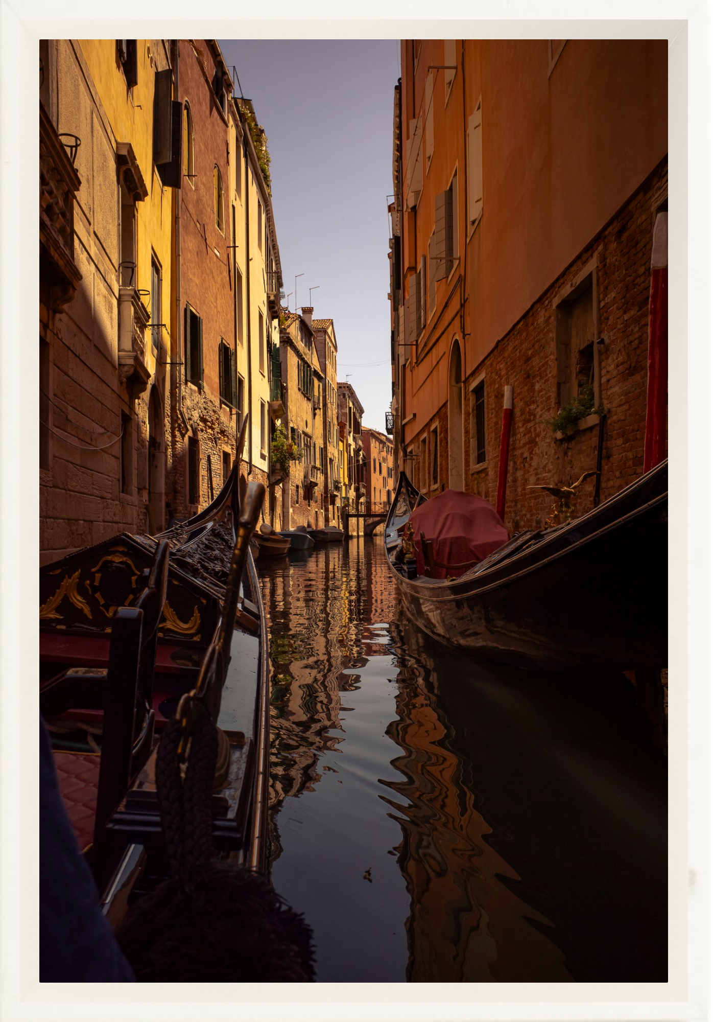 #Framed Canvas_8x12"_White