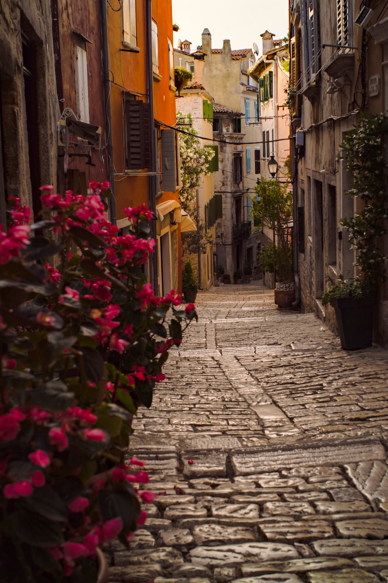 Alley 102