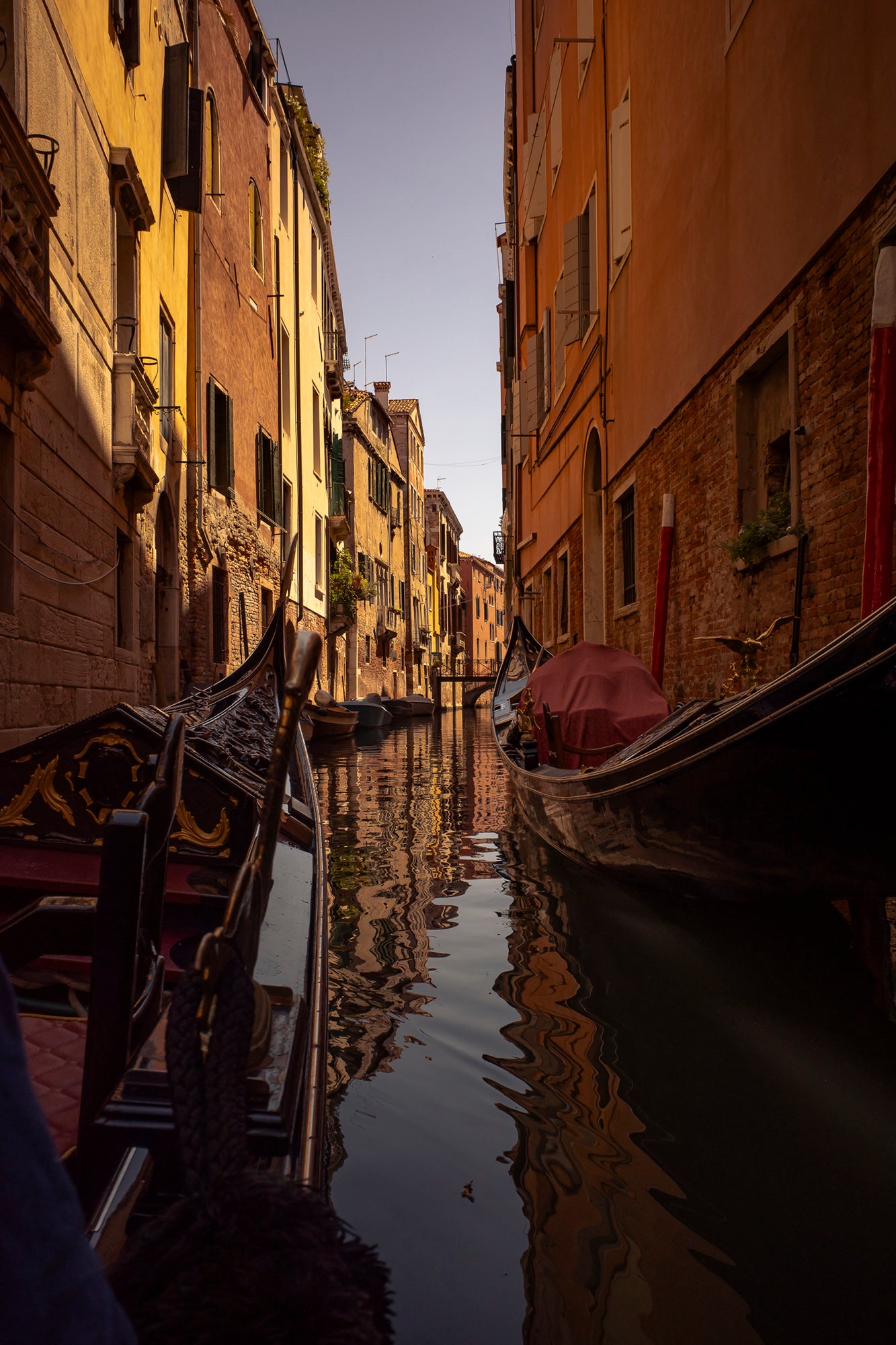 #Print_16x24”_None