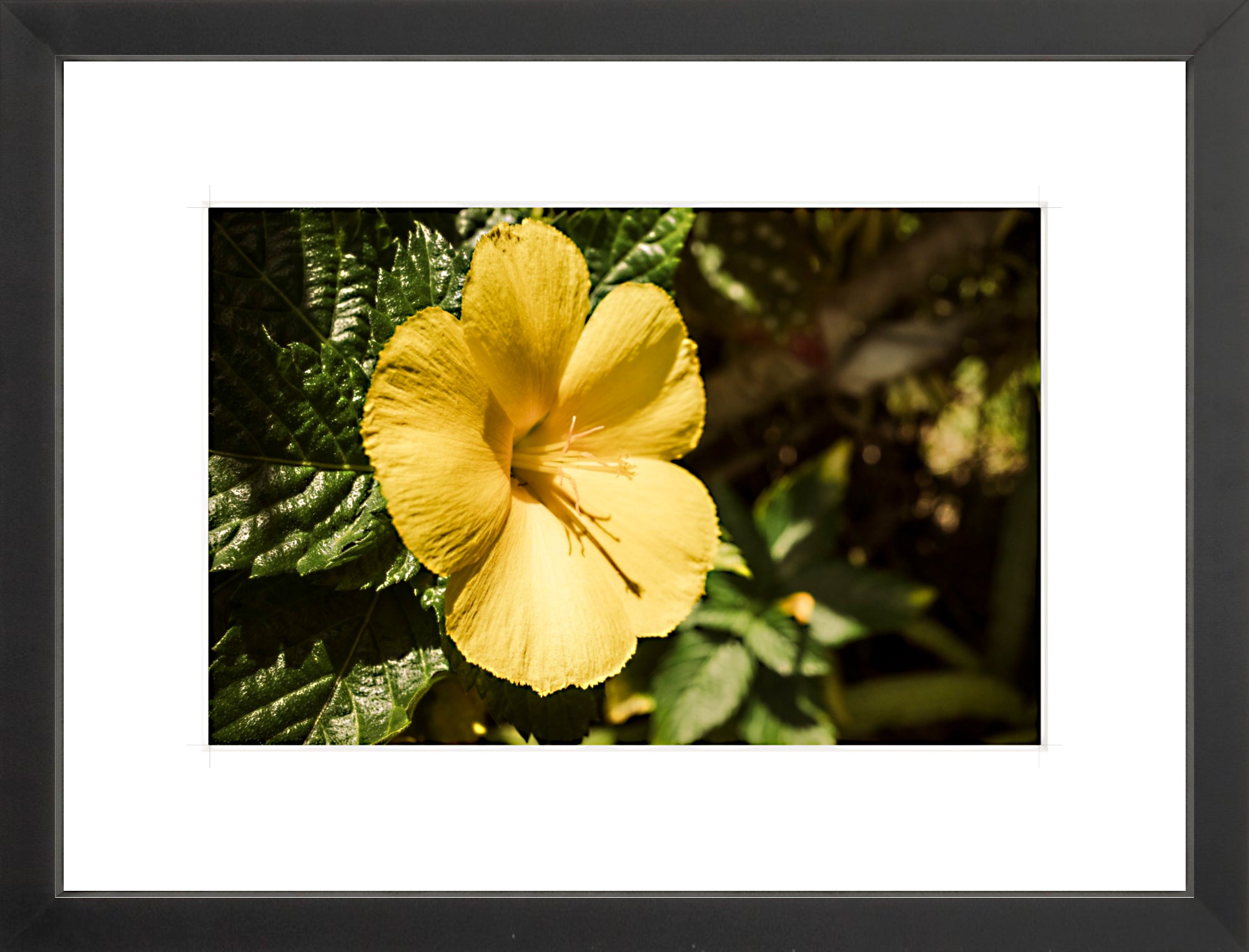 #Framed Print_12x8"_Black