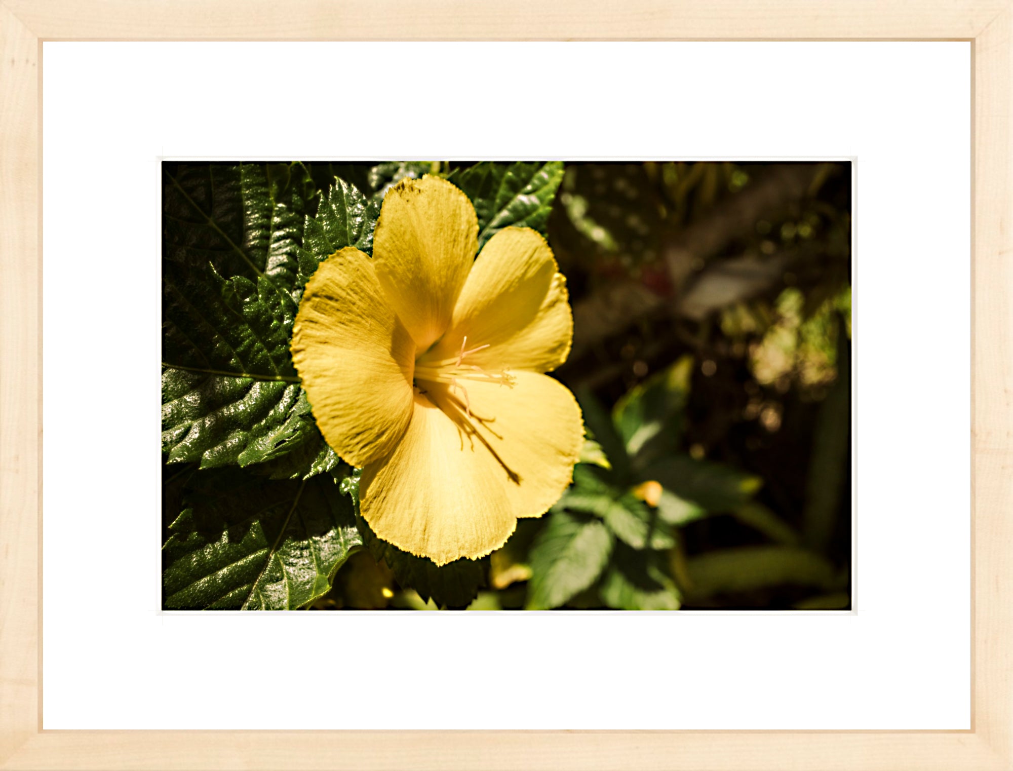 #Framed Print_12x8"_Natural