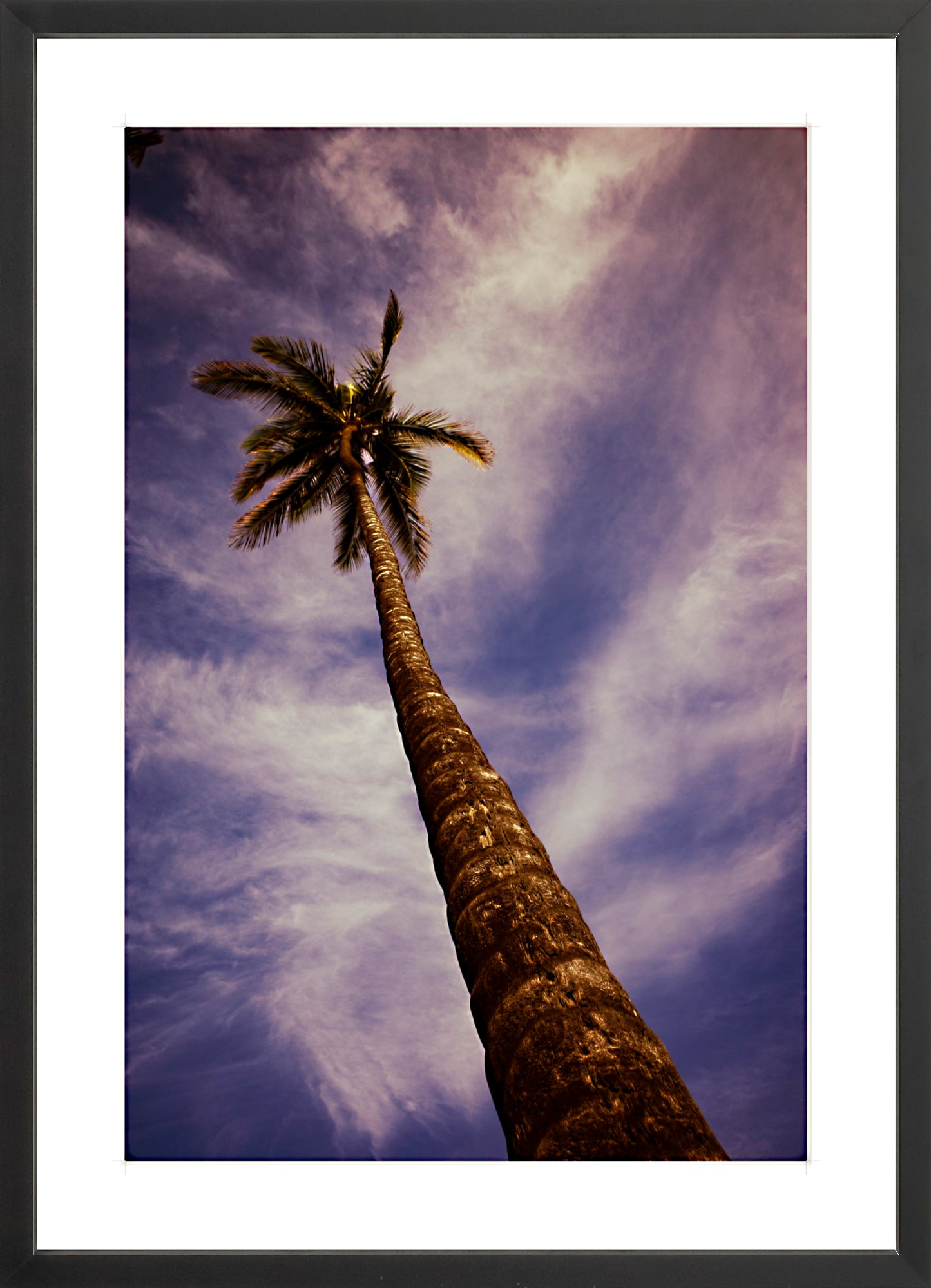 #Framed Print_16x24"_Black