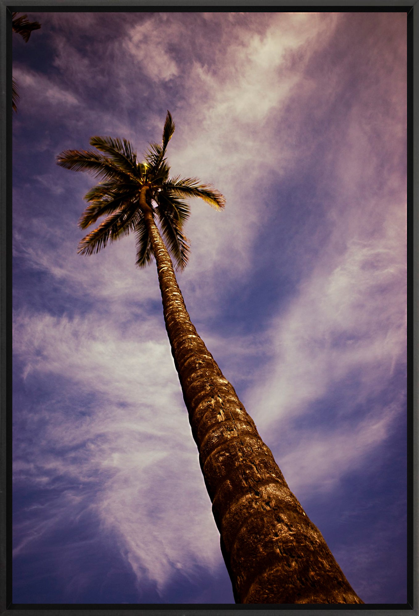 #Framed Canvas_16x24"_Black