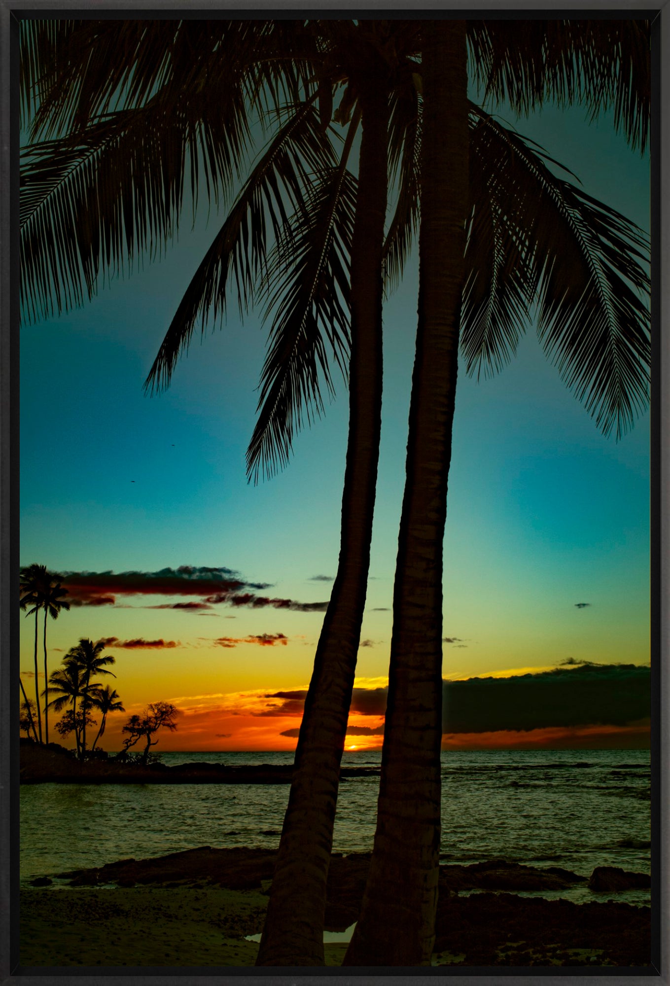 #Framed Canvas_16x24"_Black