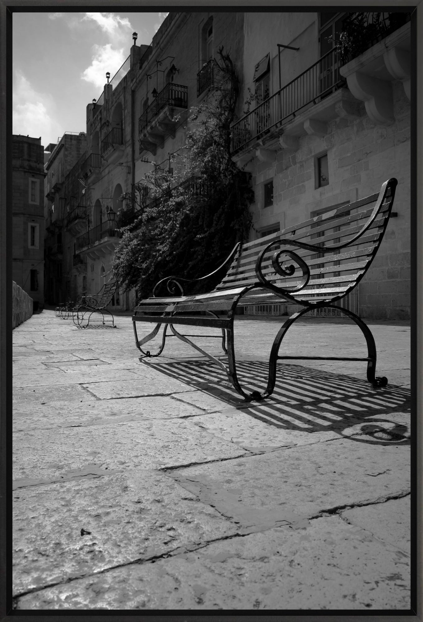 #Framed Canvas_16x24"_Black