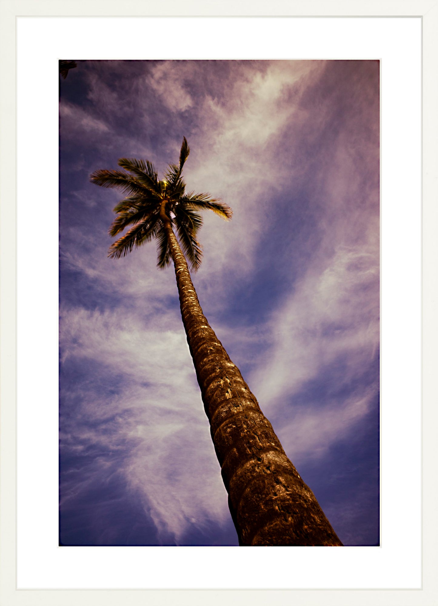 #Framed Print_16x24"_White