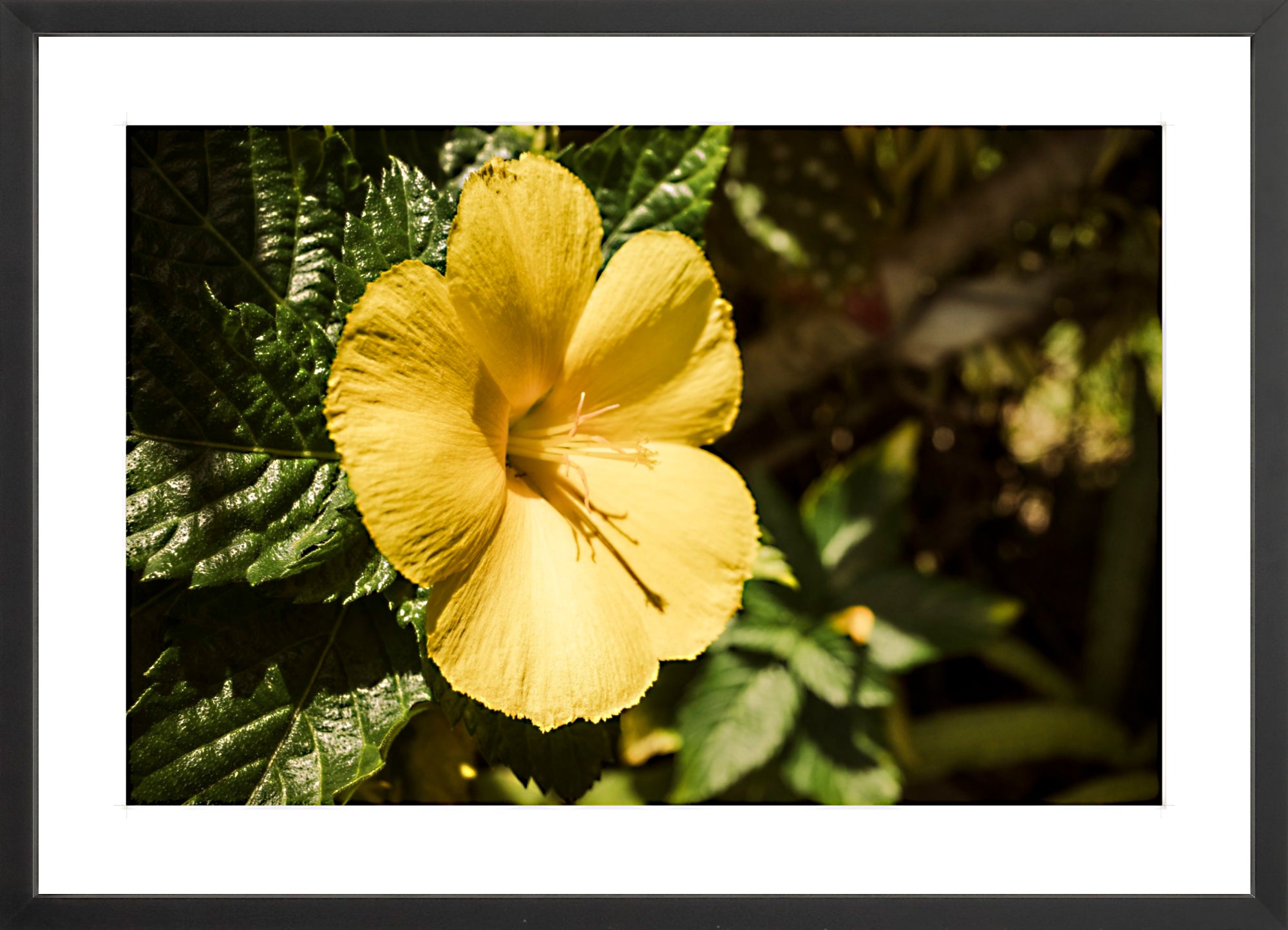 #Framed Print_24x16"_Black