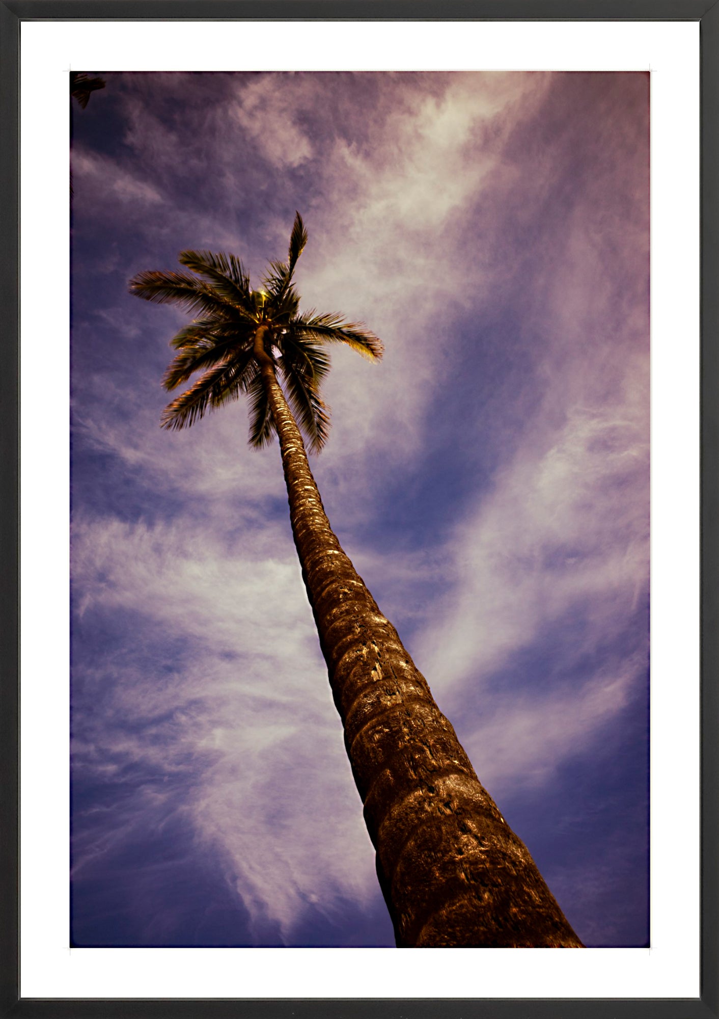 #Framed Print_24x36"_Black