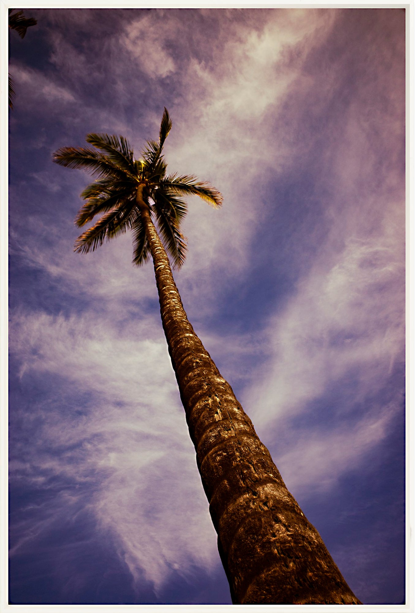 #Framed Canvas_24x36"_White