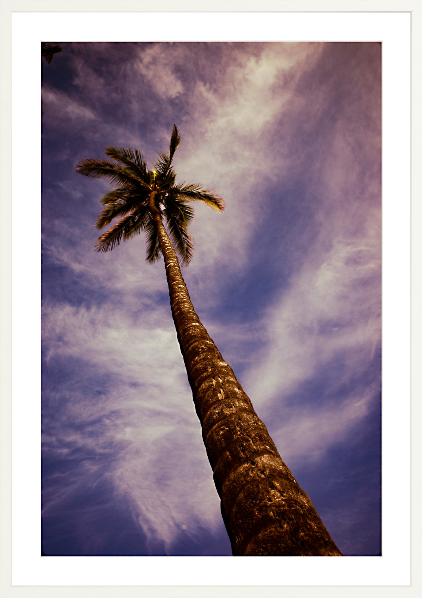 #Framed Print_24x36"_White