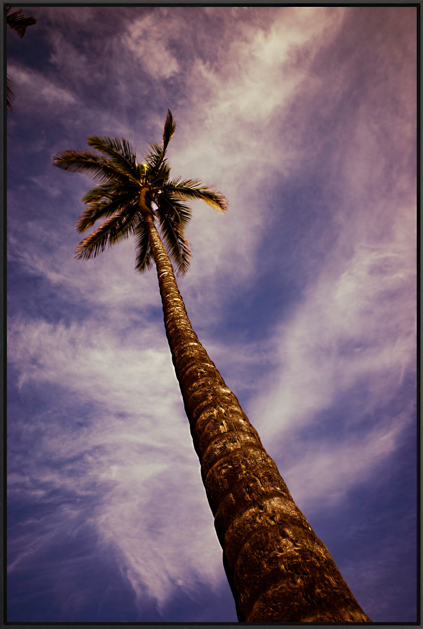 #Framed Canvas_40x60"_Black