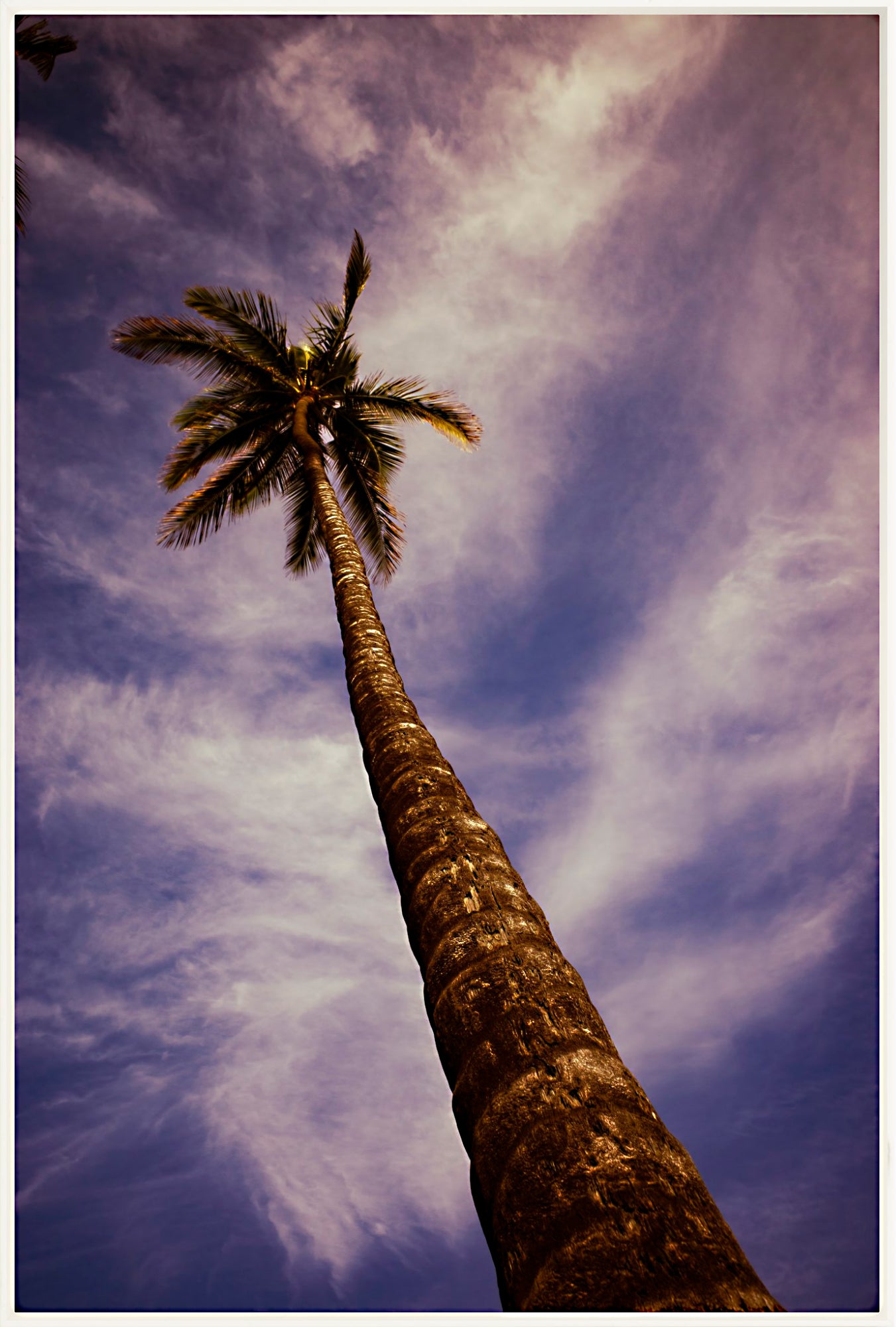 #Framed Canvas_40x60"_White