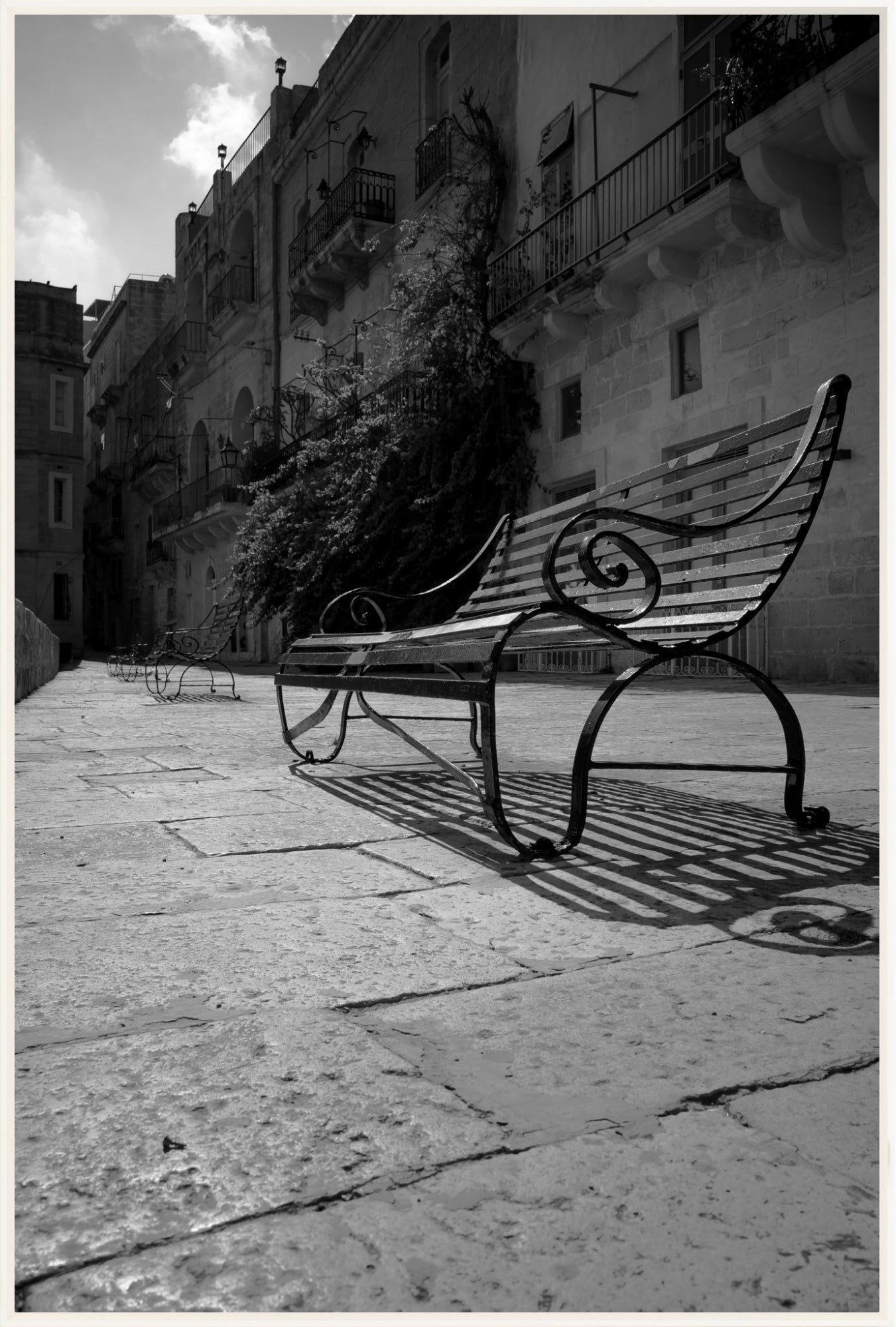 #Framed Canvas_30x45"_White