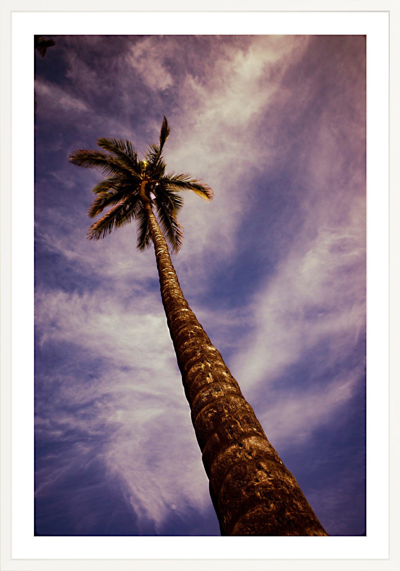 #Framed Print_40x60"_White