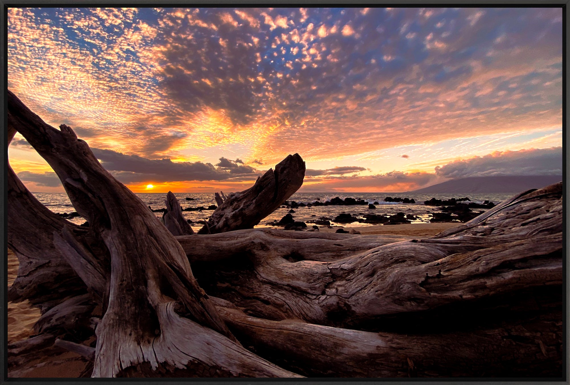 #Framed Canvas_36x24"_Black