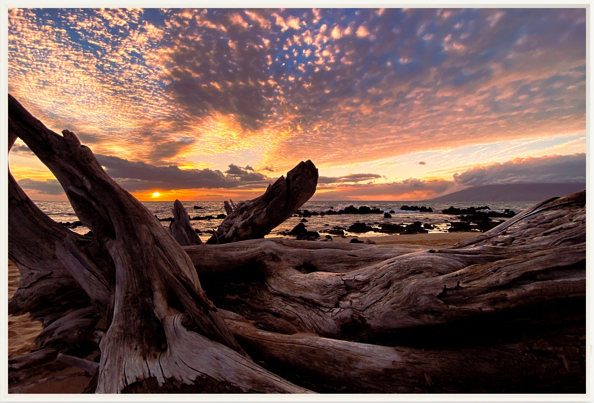#Framed Canvas_36x24"_White