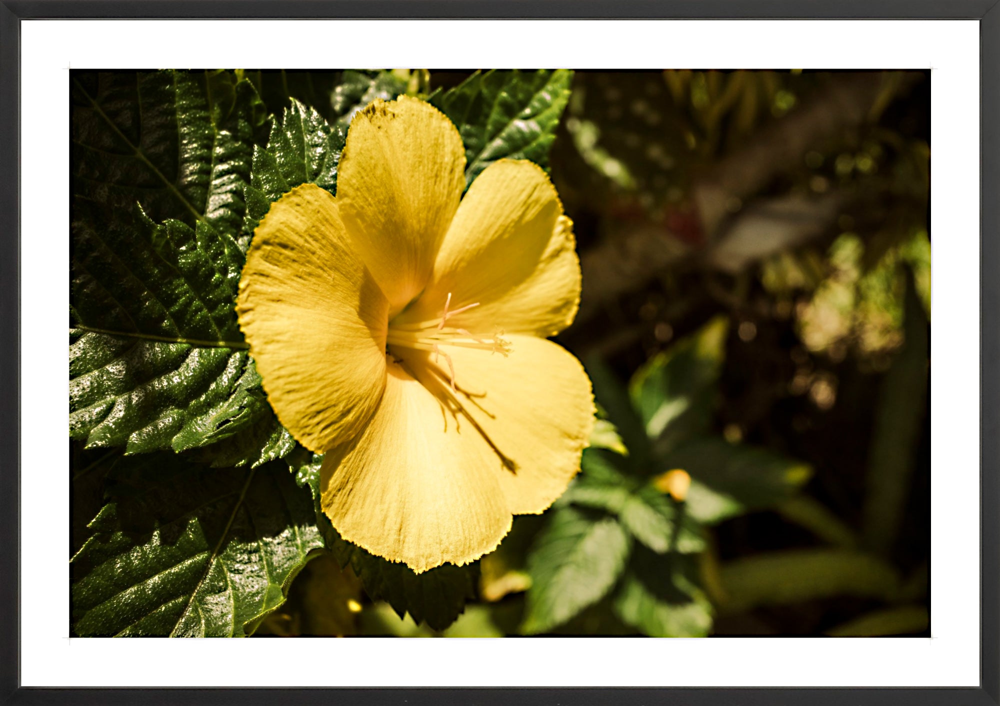 #Framed Print_36x24"_Black
