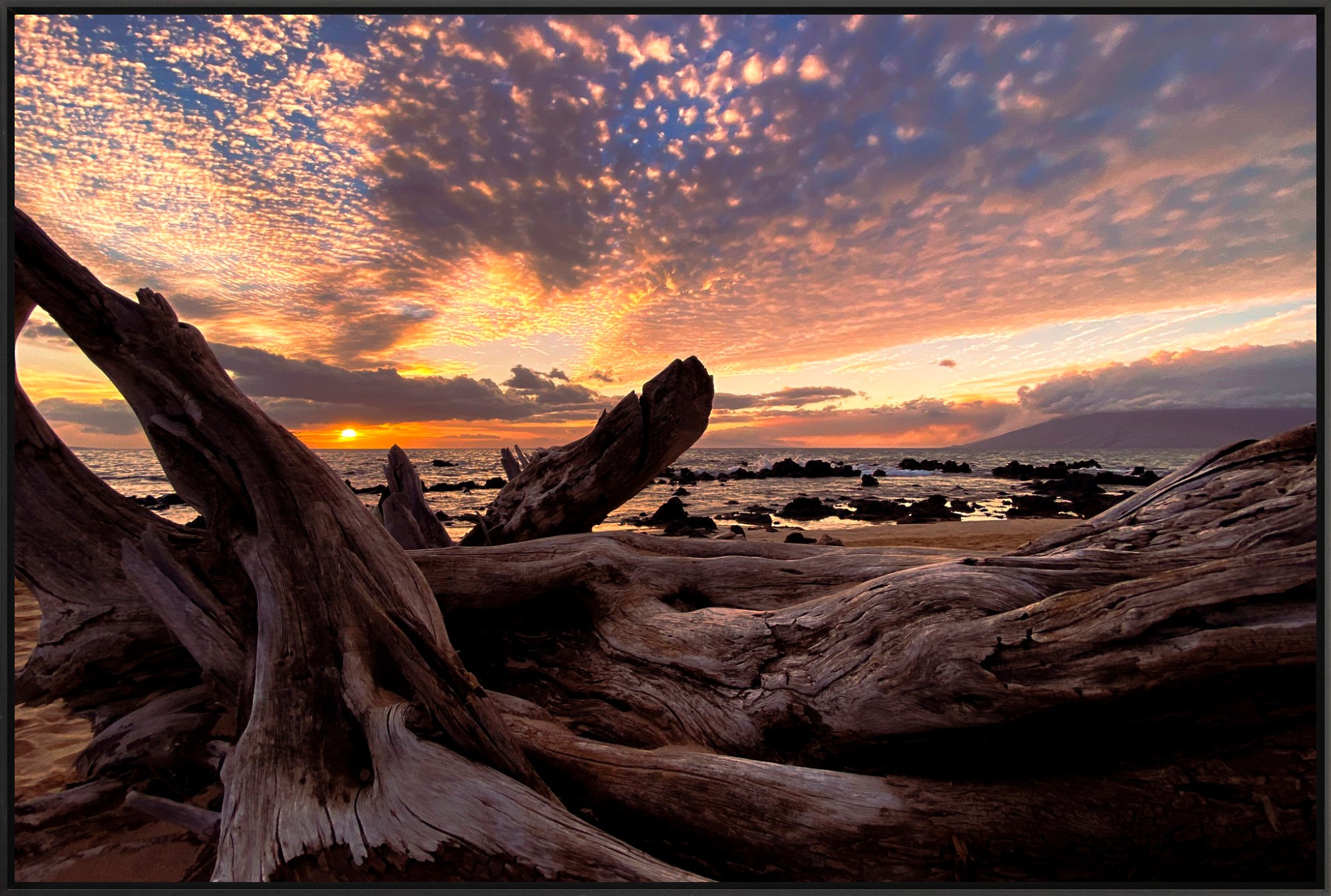 #Framed Canvas_45x30"_Black