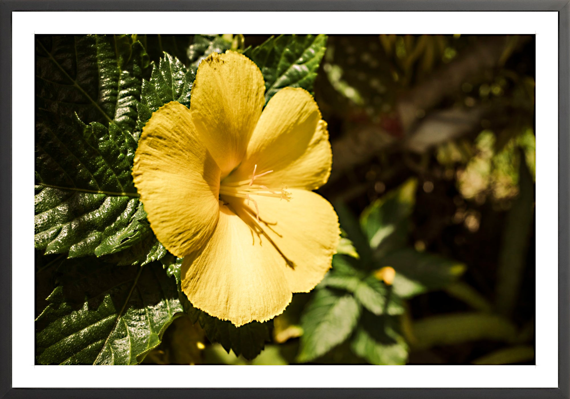 #Framed Print_60x40"_Black