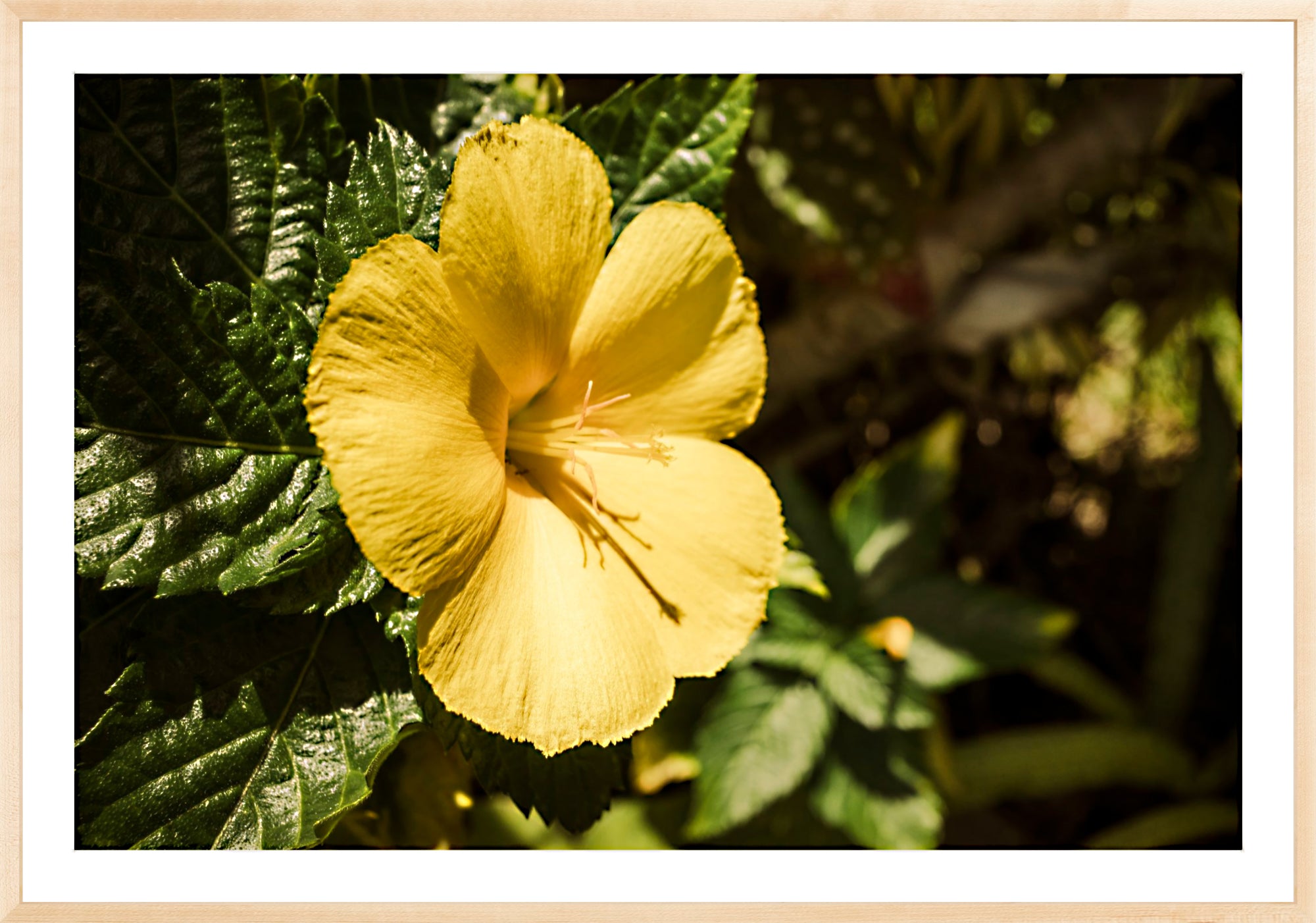 #Framed Print_60x40"_Natural