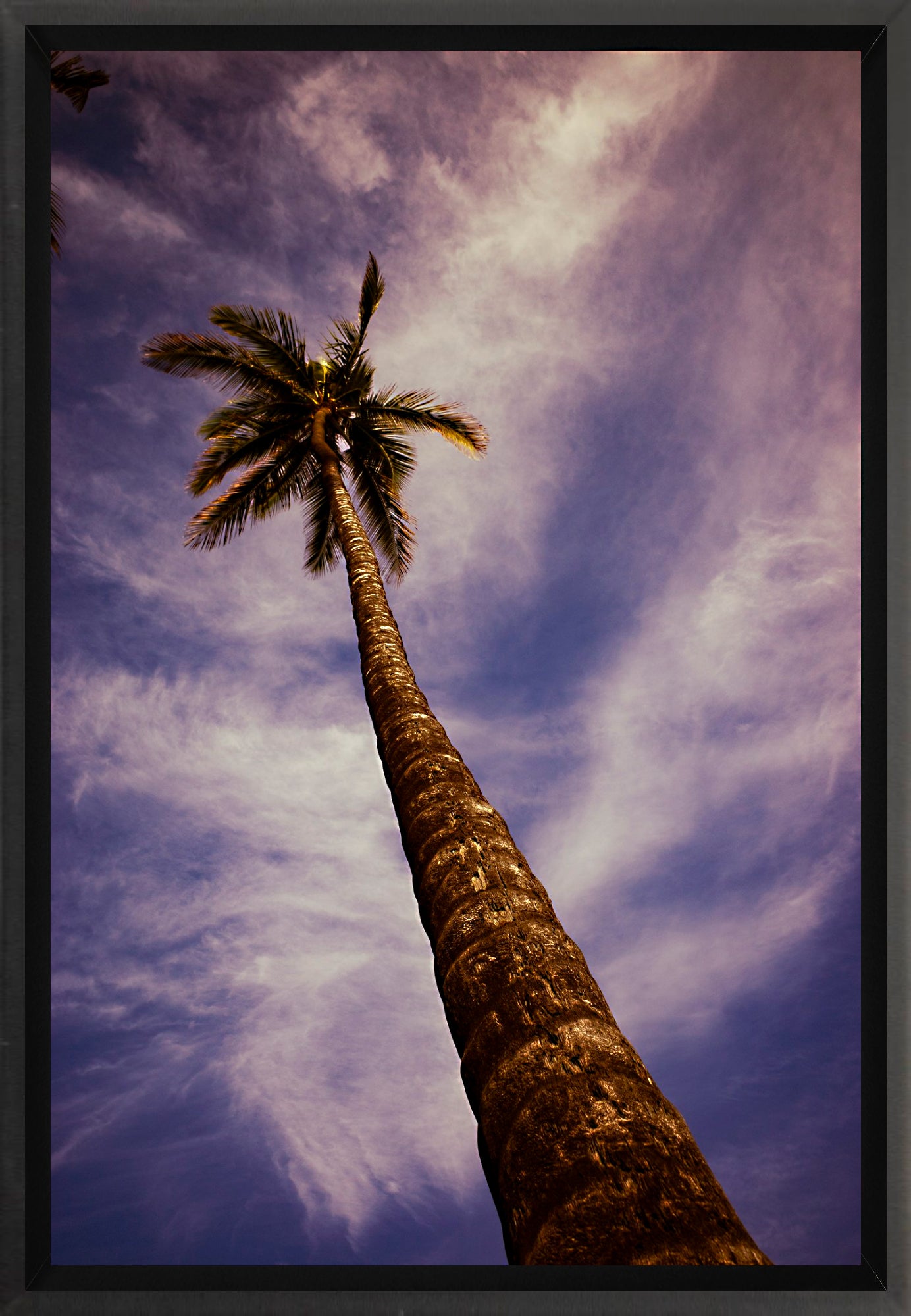 #Framed Canvas_8x12"_Black