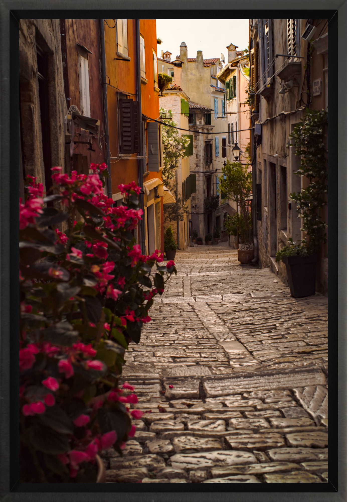 #Framed Canvas_8x12"_Black