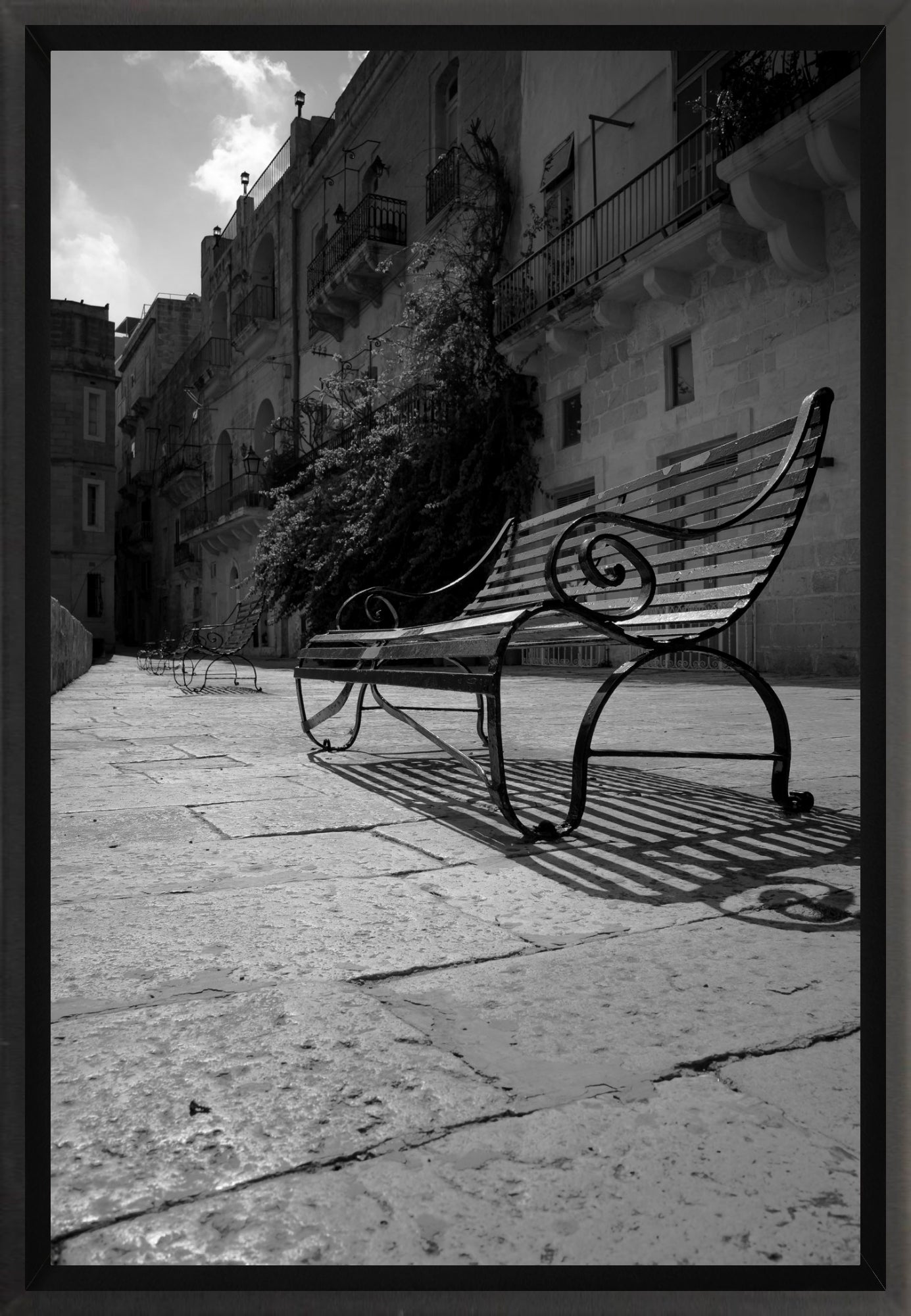 #Framed Canvas_8x12"_Black