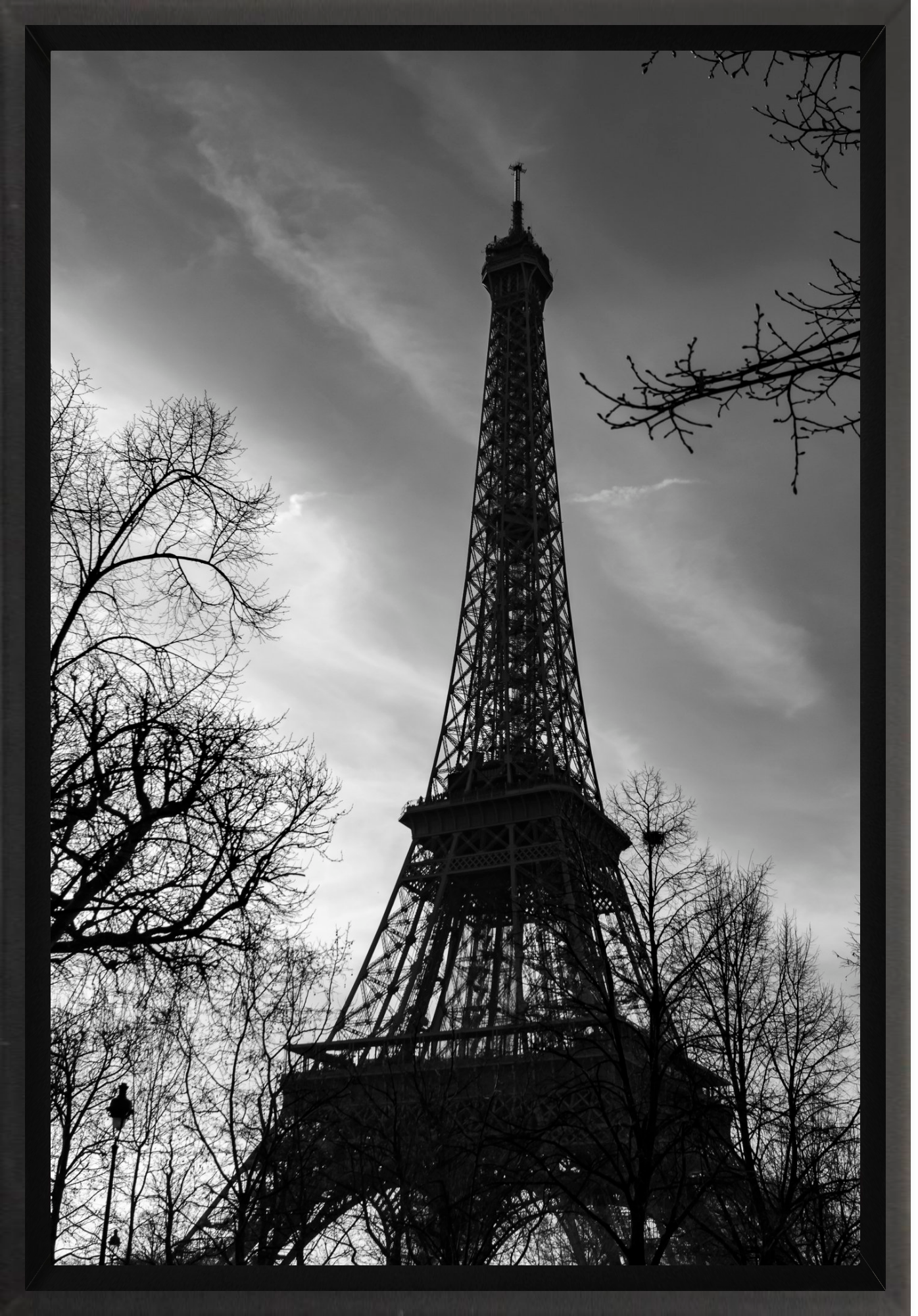 #Framed Canvas_8x12"_Black