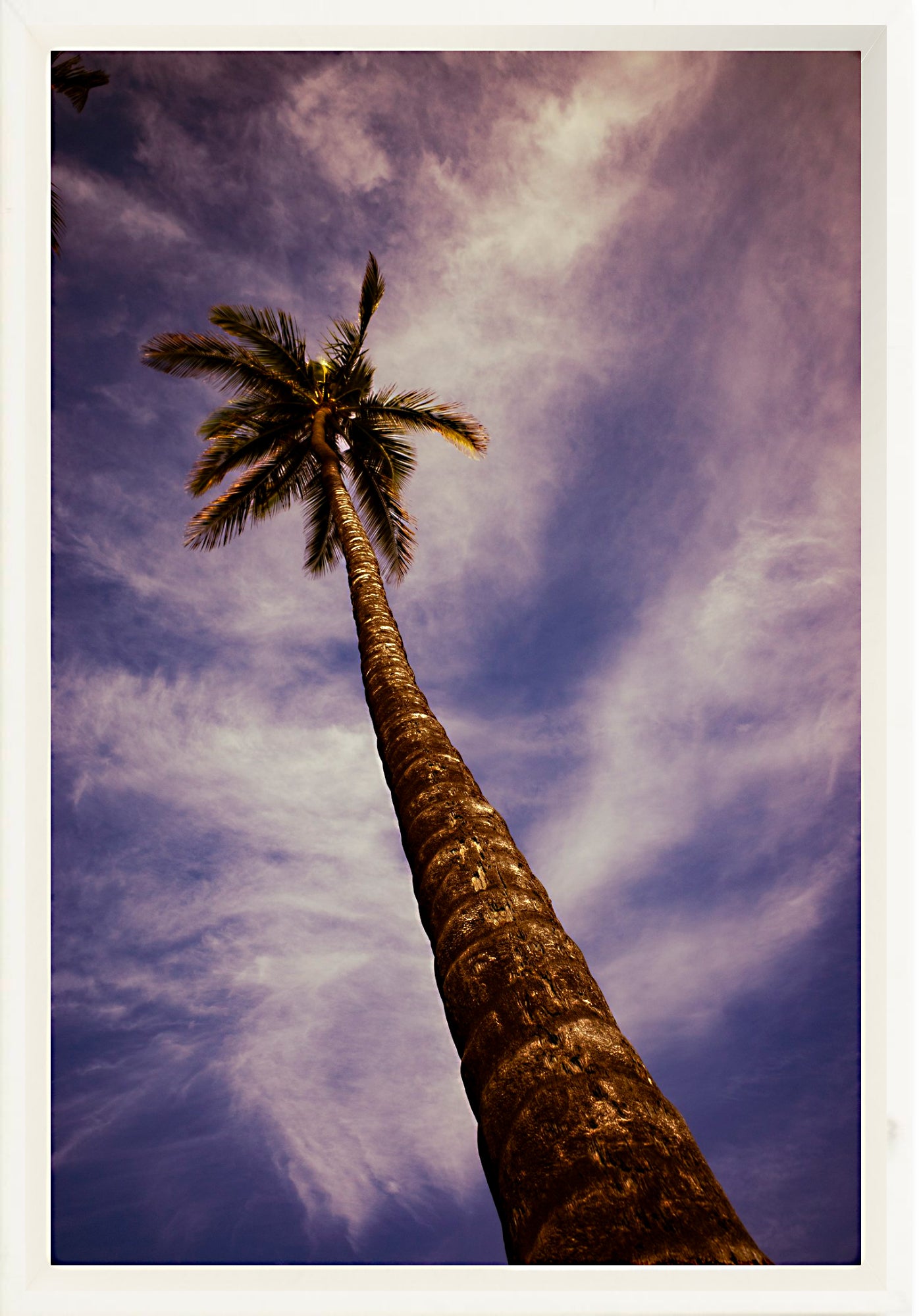 #Framed Canvas_8x12"_White