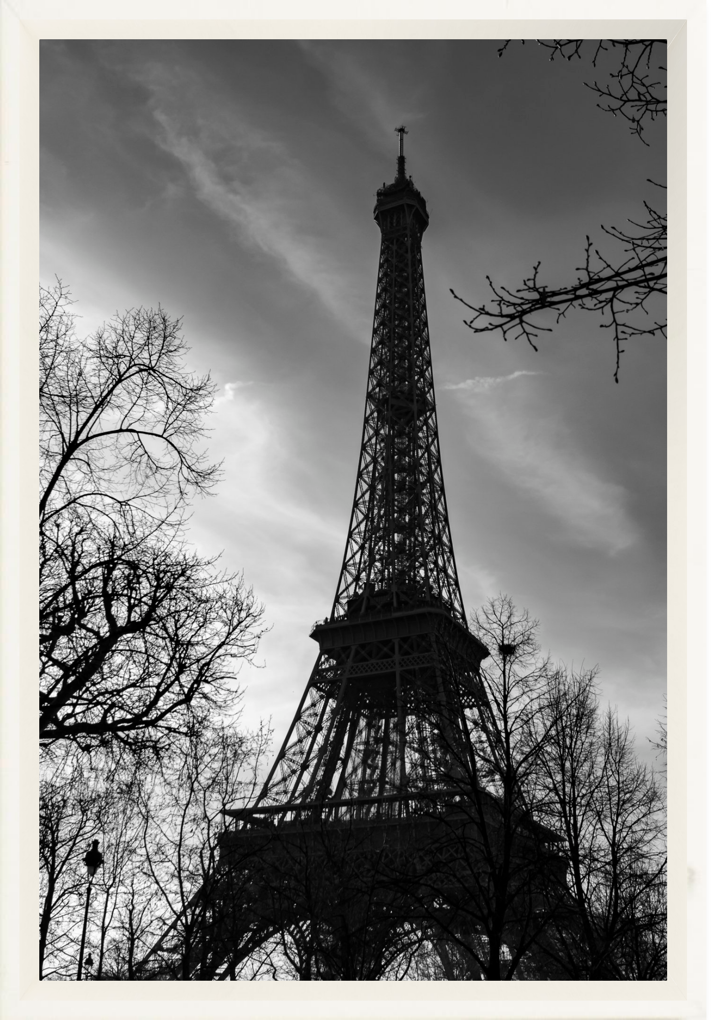 #Framed Canvas_8x12"_White