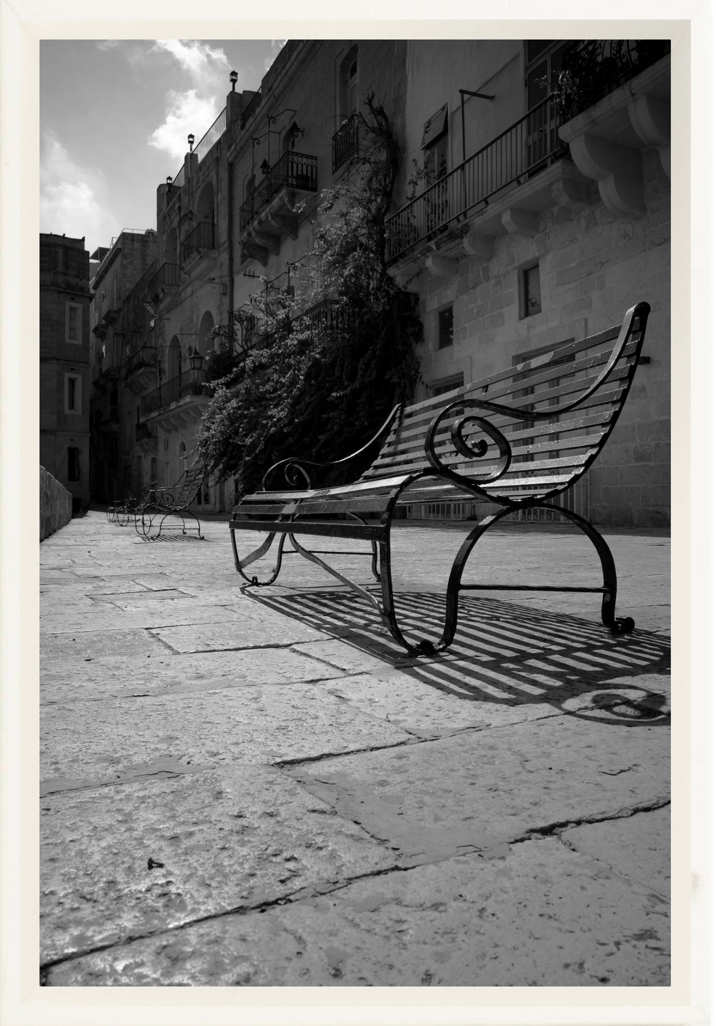 #Framed Canvas_8x12"_White