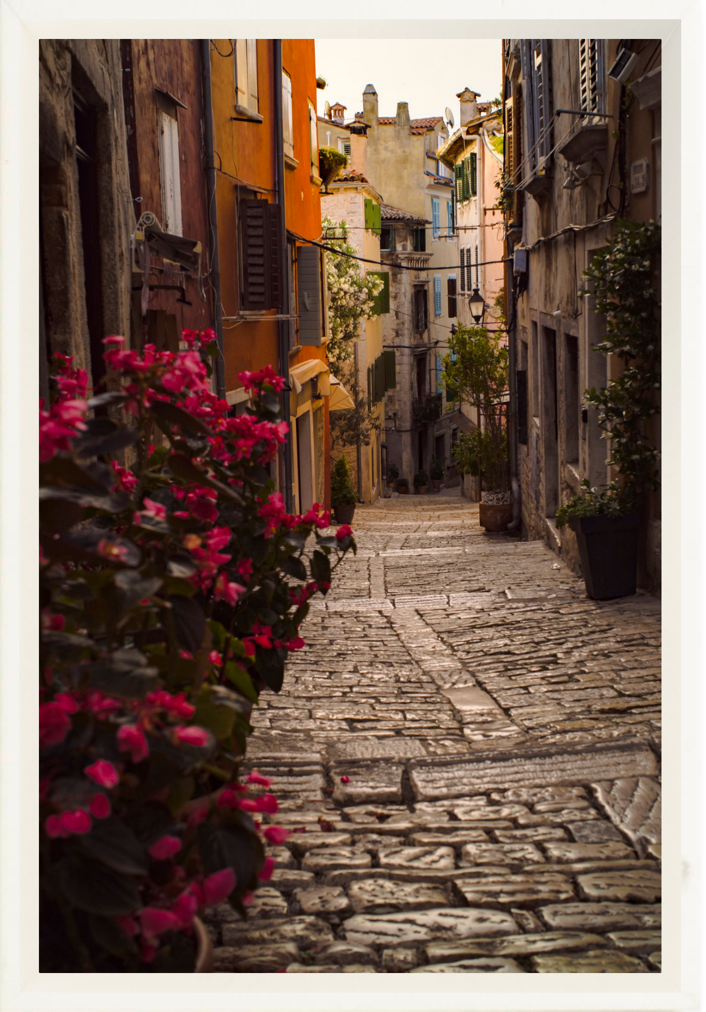 #Framed Canvas_8x12"_White
