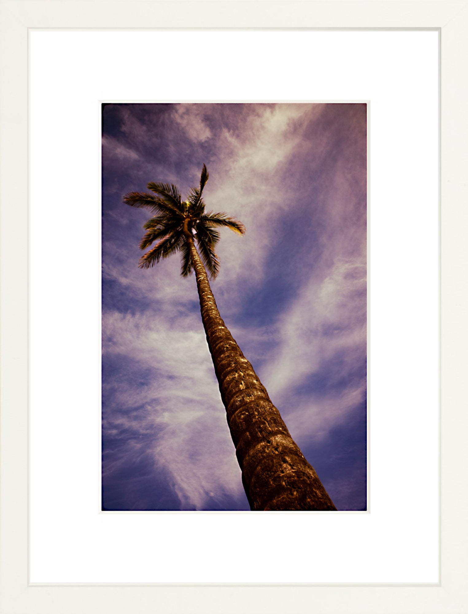 #Framed Print_8x12"_White