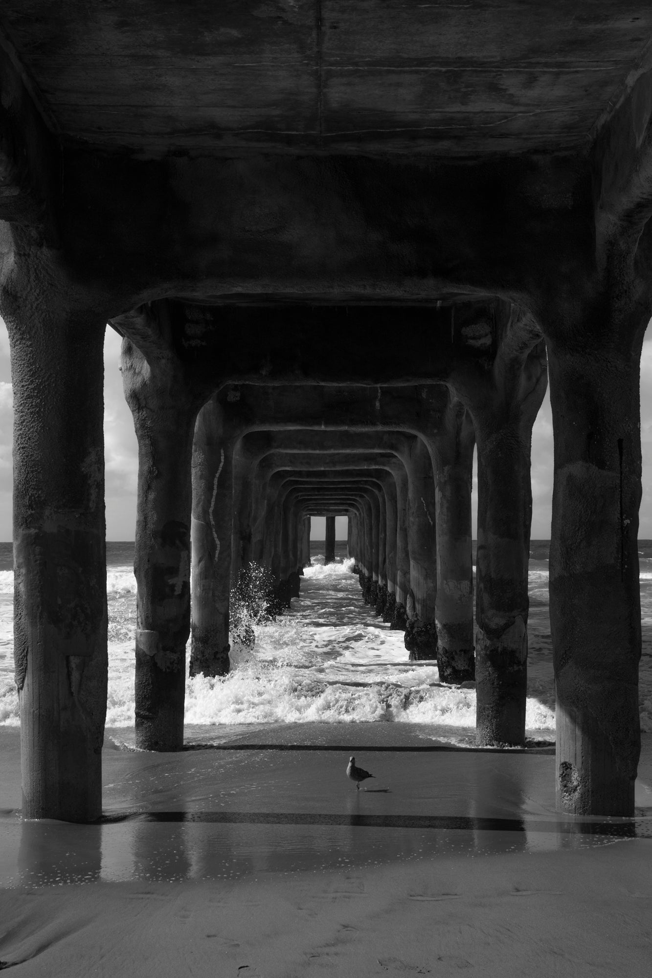 #Print_8x12"_None