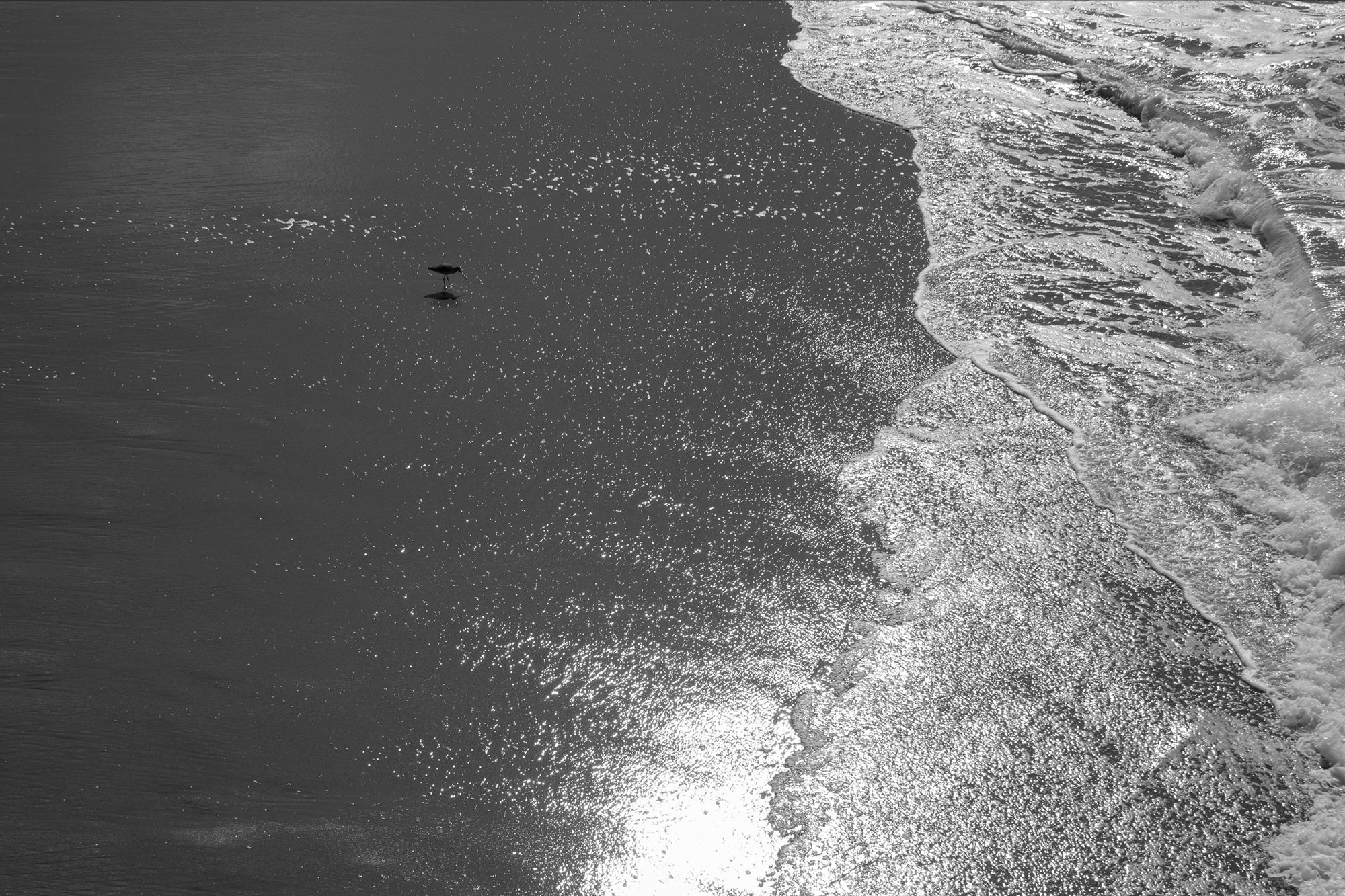 #Print_12x8"_None