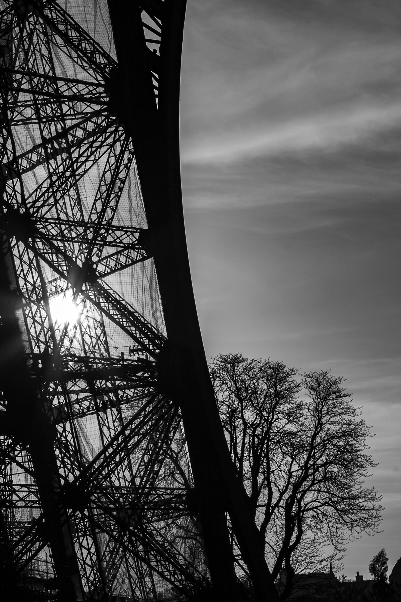 #Print_8x12"_None