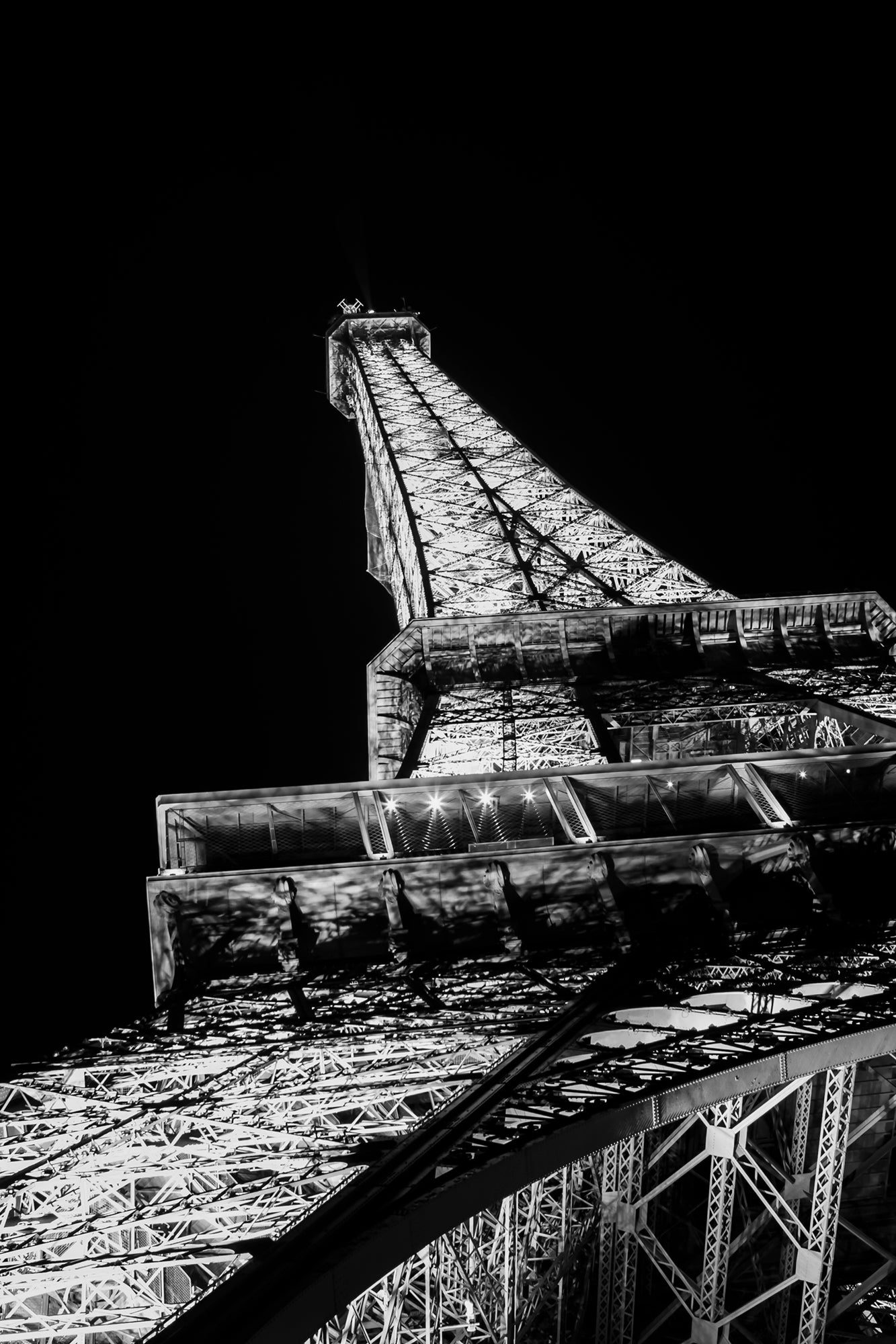 #Print_8x12"_None