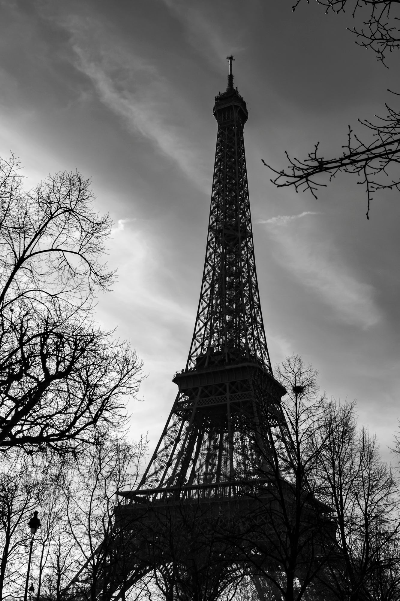 #Print_8x12"_None