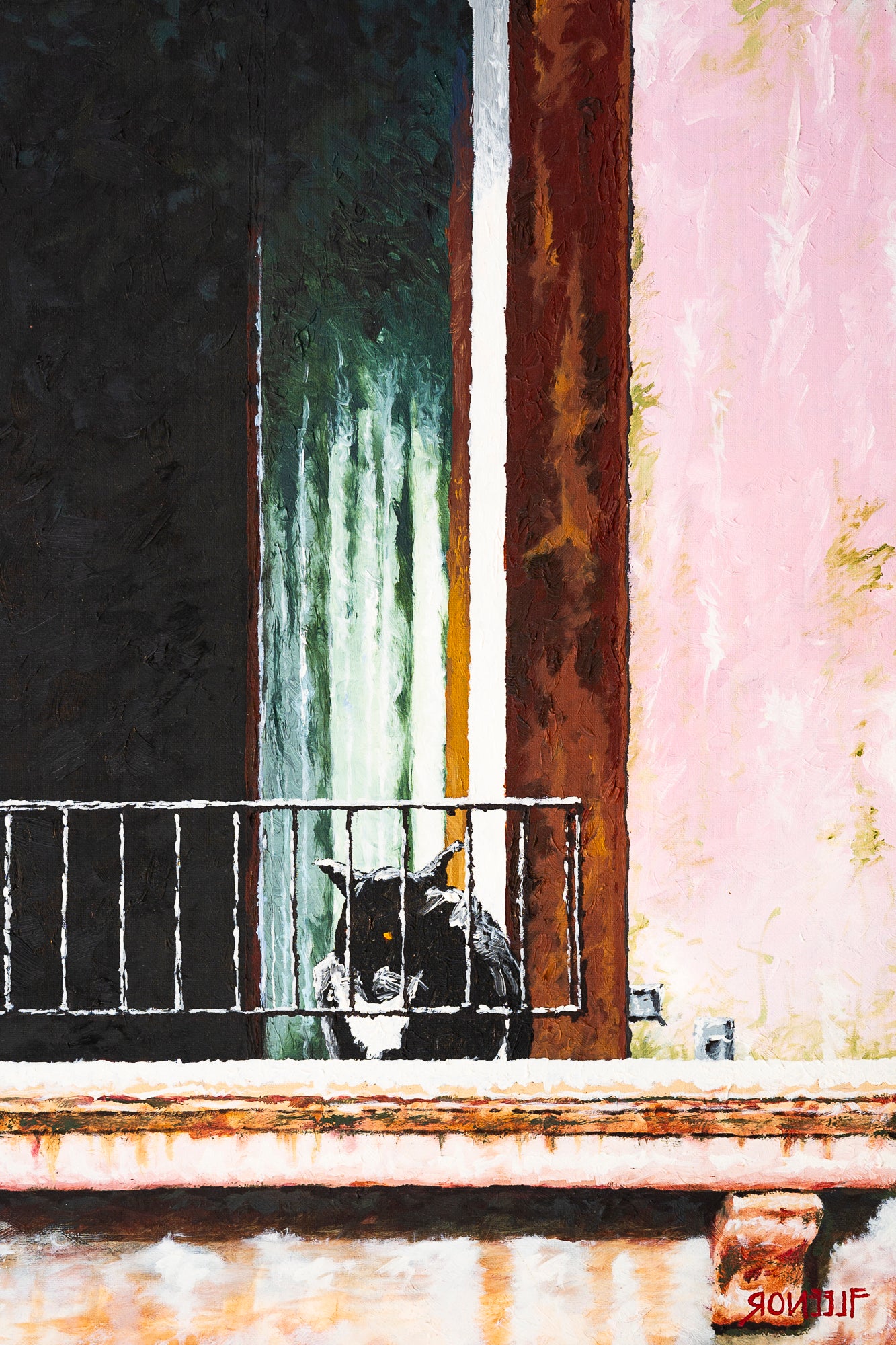 Il Gatto Del Canale