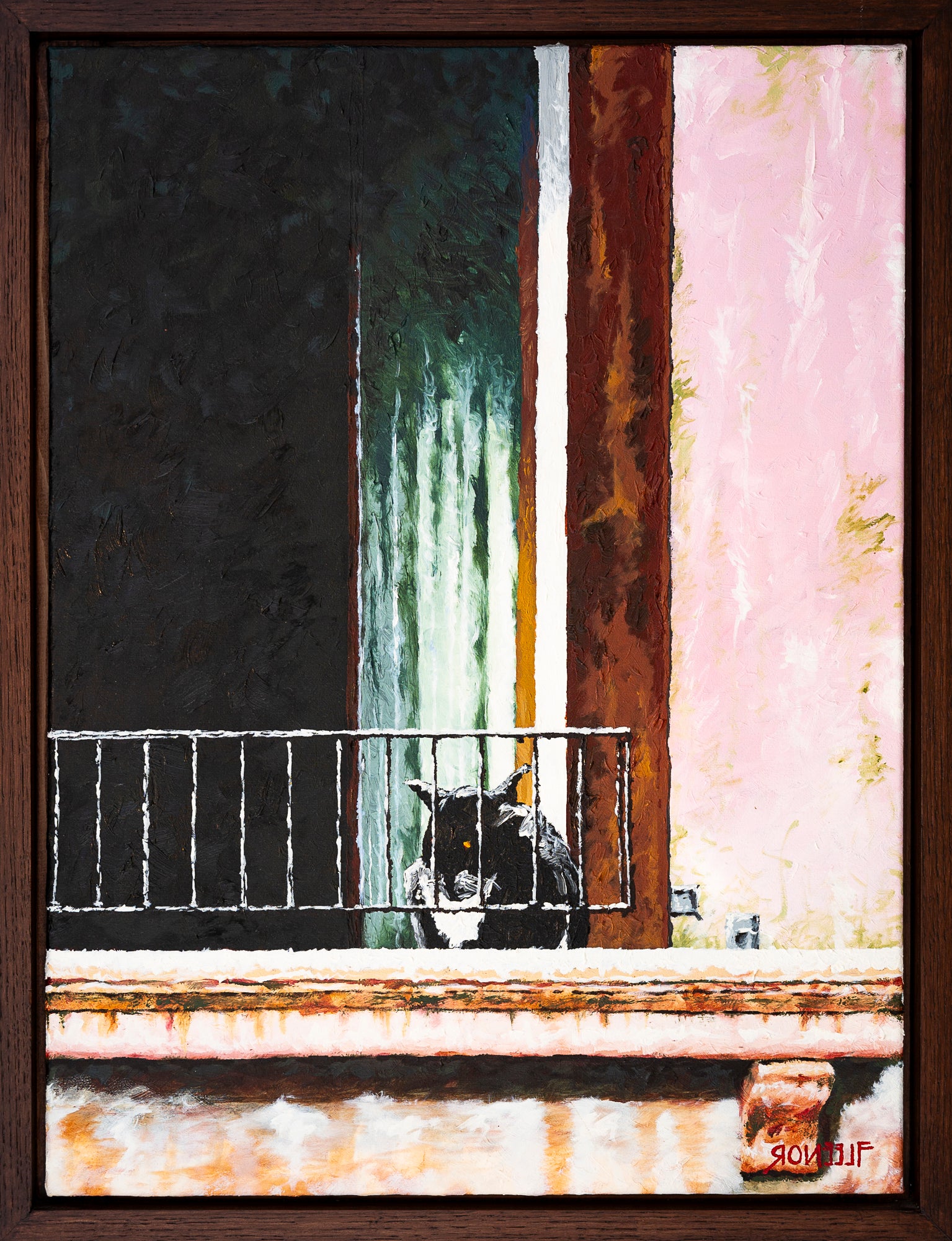 Il Gatto Del Canale